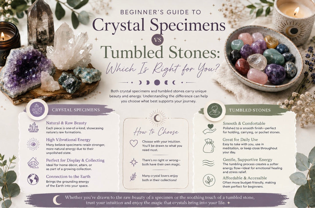 Beginner's Guide to Crystal Specimens vs Tumbled Stones: Which Is Right for You?