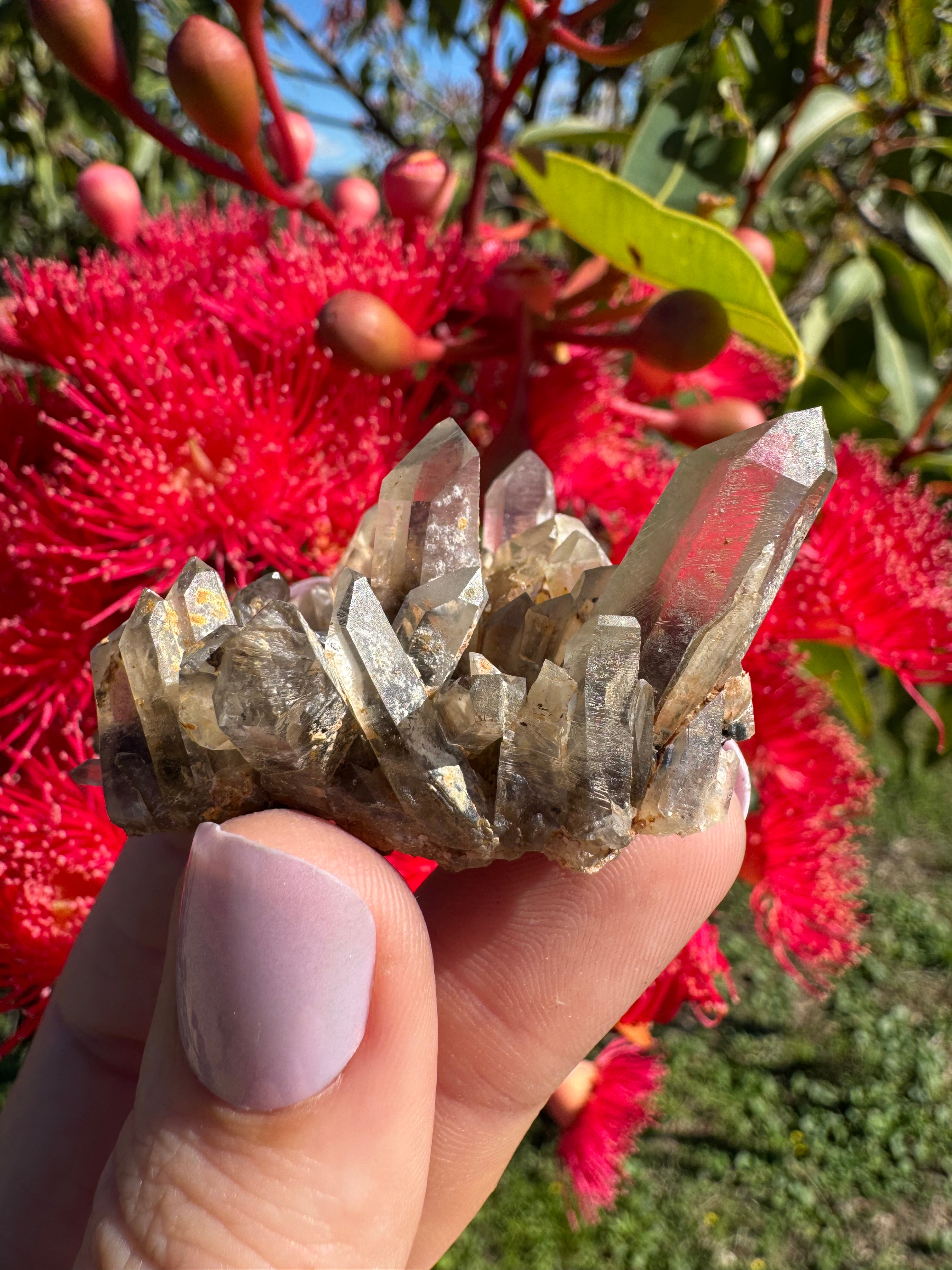 Hematite Phantom Quartz Cluster - Torrington