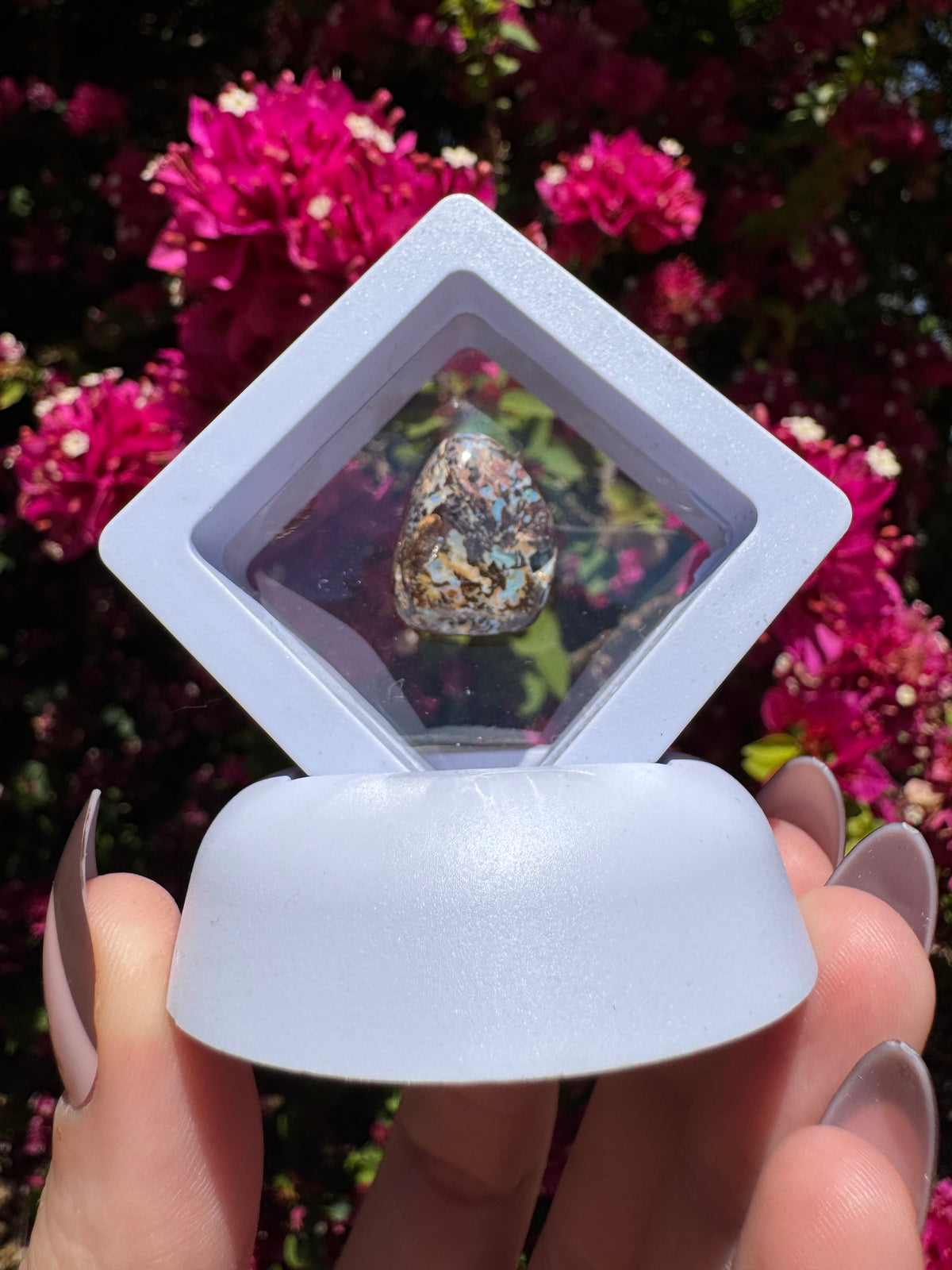 Polished Boulder Opal | Karoit