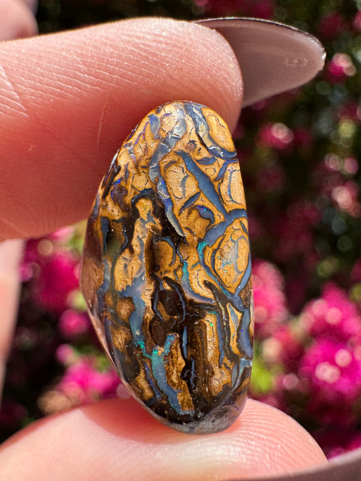 Polished Boulder Opal | Karoit