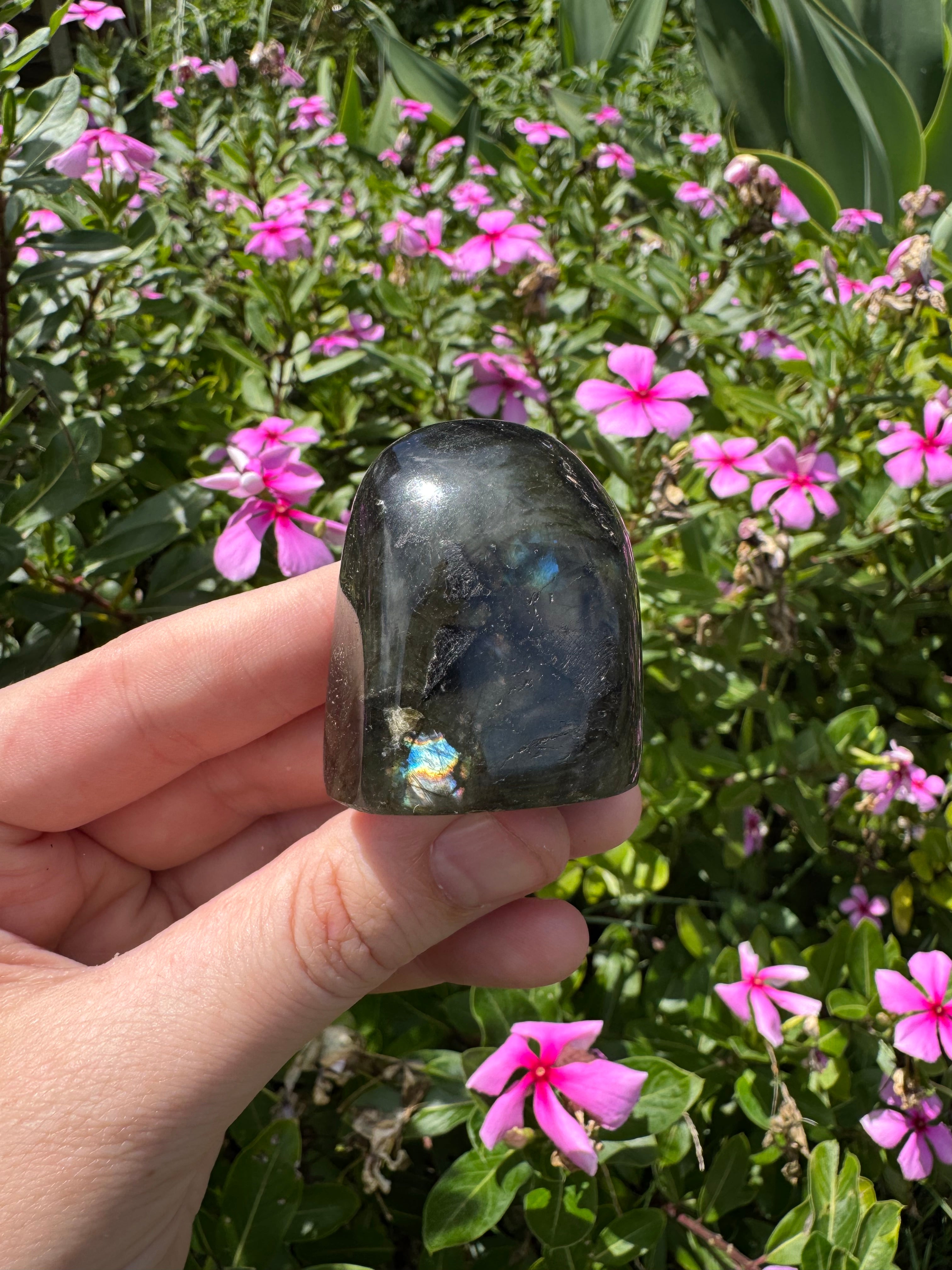 Spectrolite Labradorite Freeform
