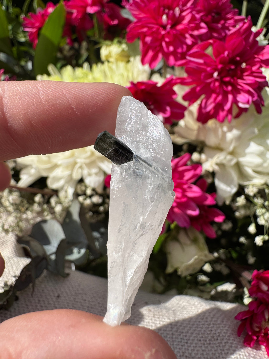 Green Capped Tourmaline in Quartz Specimen