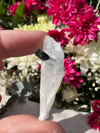 Green Capped Tourmaline in Quartz Specimen