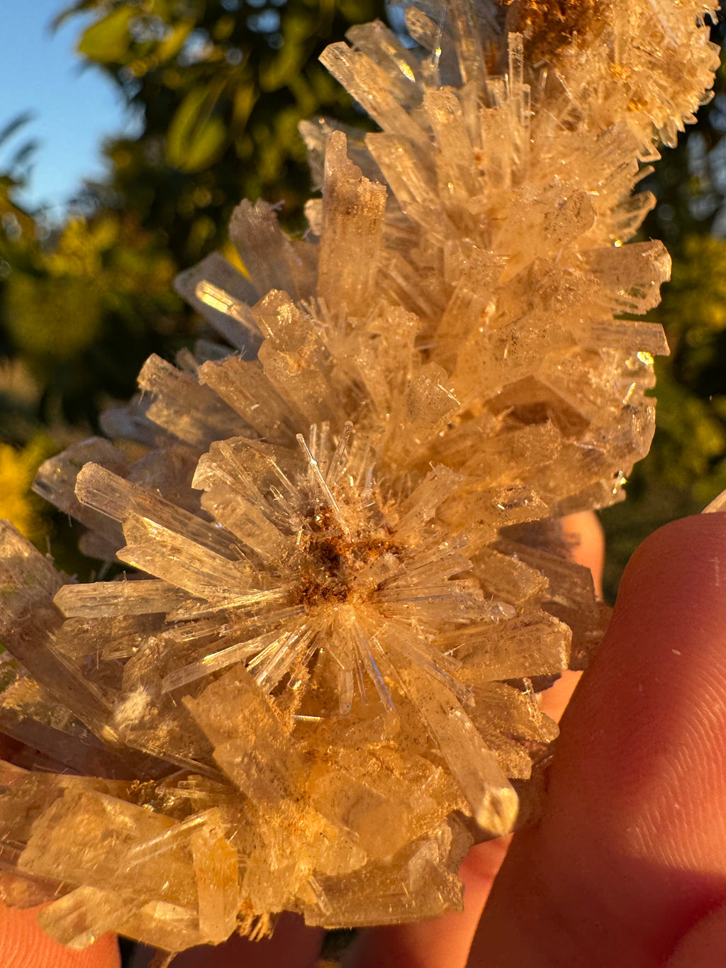 Selenite ‘Gypsum’ Natural Specimen - Chillingollah