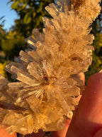 Selenite ‘Gypsum’ Natural Specimen - Chillingollah