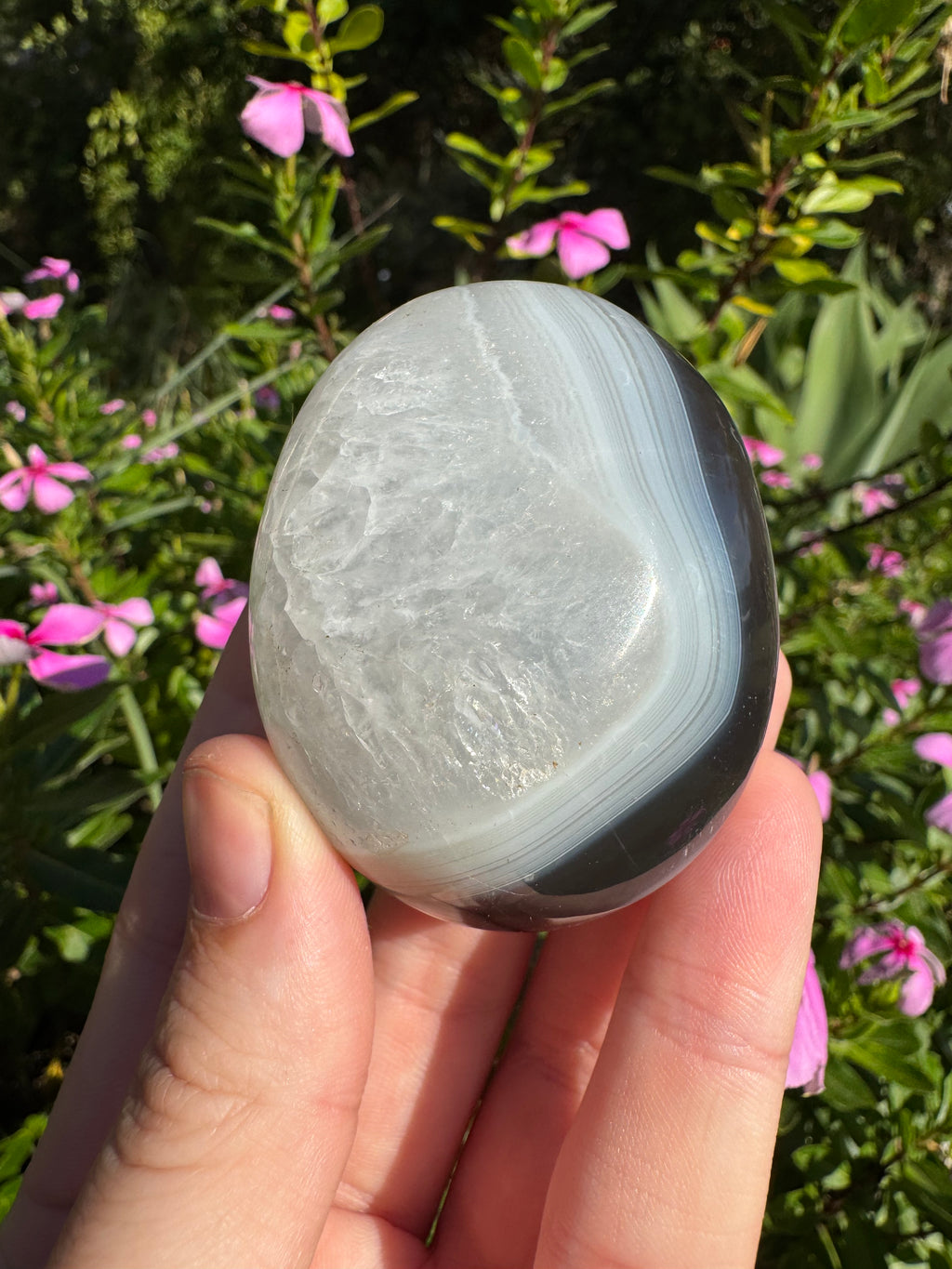 Orca Agate Palm Stone