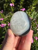 Orca Agate Palm Stone