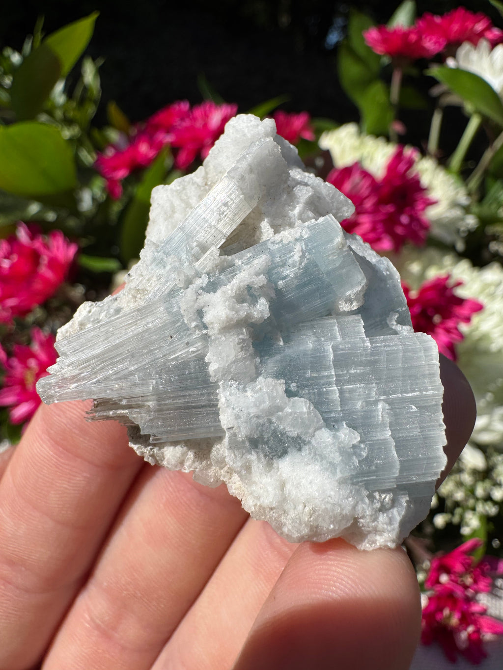 Cats Eye Aquamarine Specimen