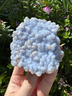Angelite ‘Botryoidal’ Cluster Specimen