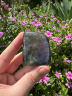 Spectrolite Labradorite Freeform