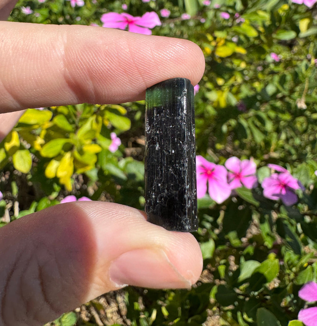 Green Tourmaline Specimen - Stak Nala