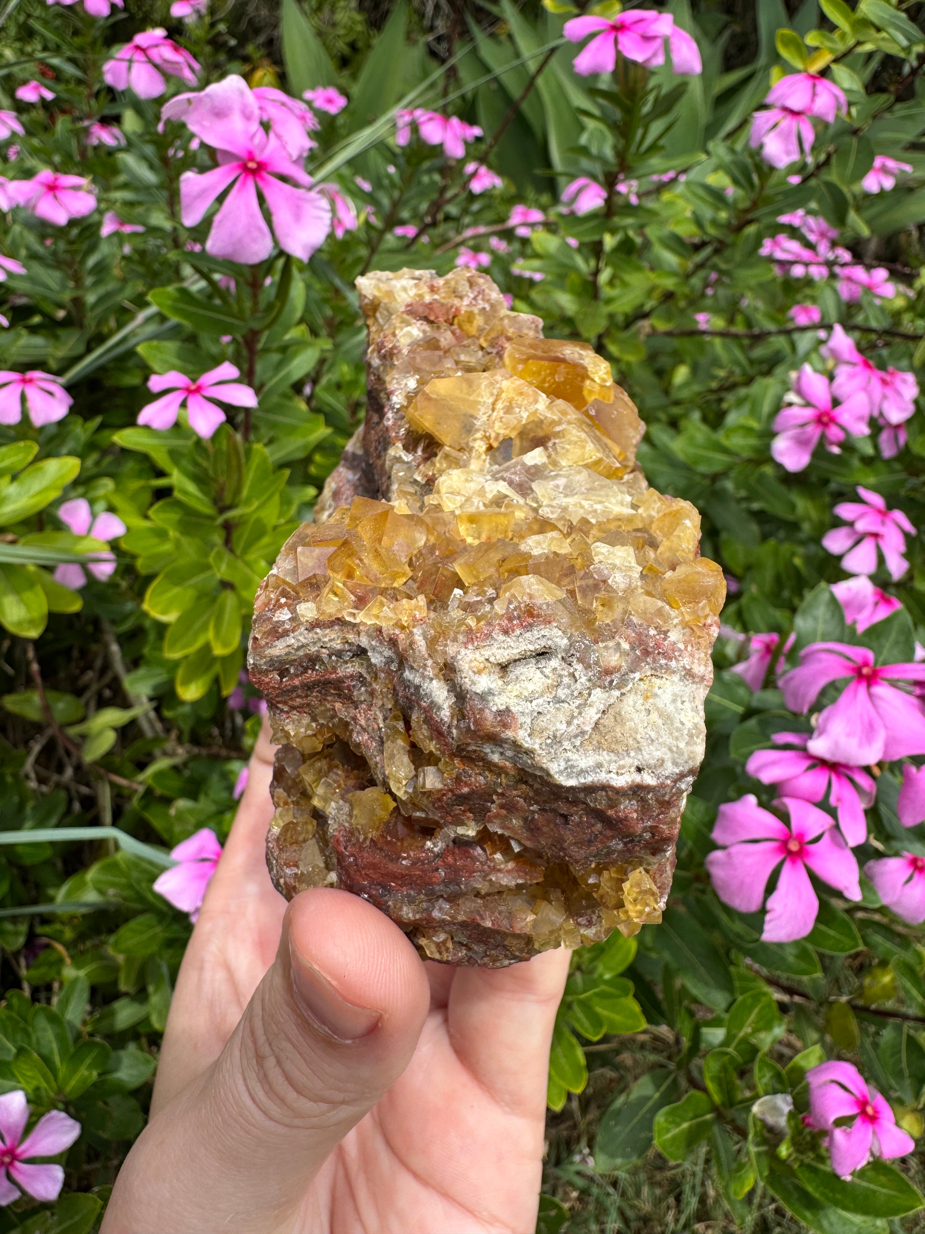 Yellow Cubic Fluorite on Iron-Stained Quartz Specimen