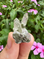 Pyrite on Fluorite Cluster - High Quality