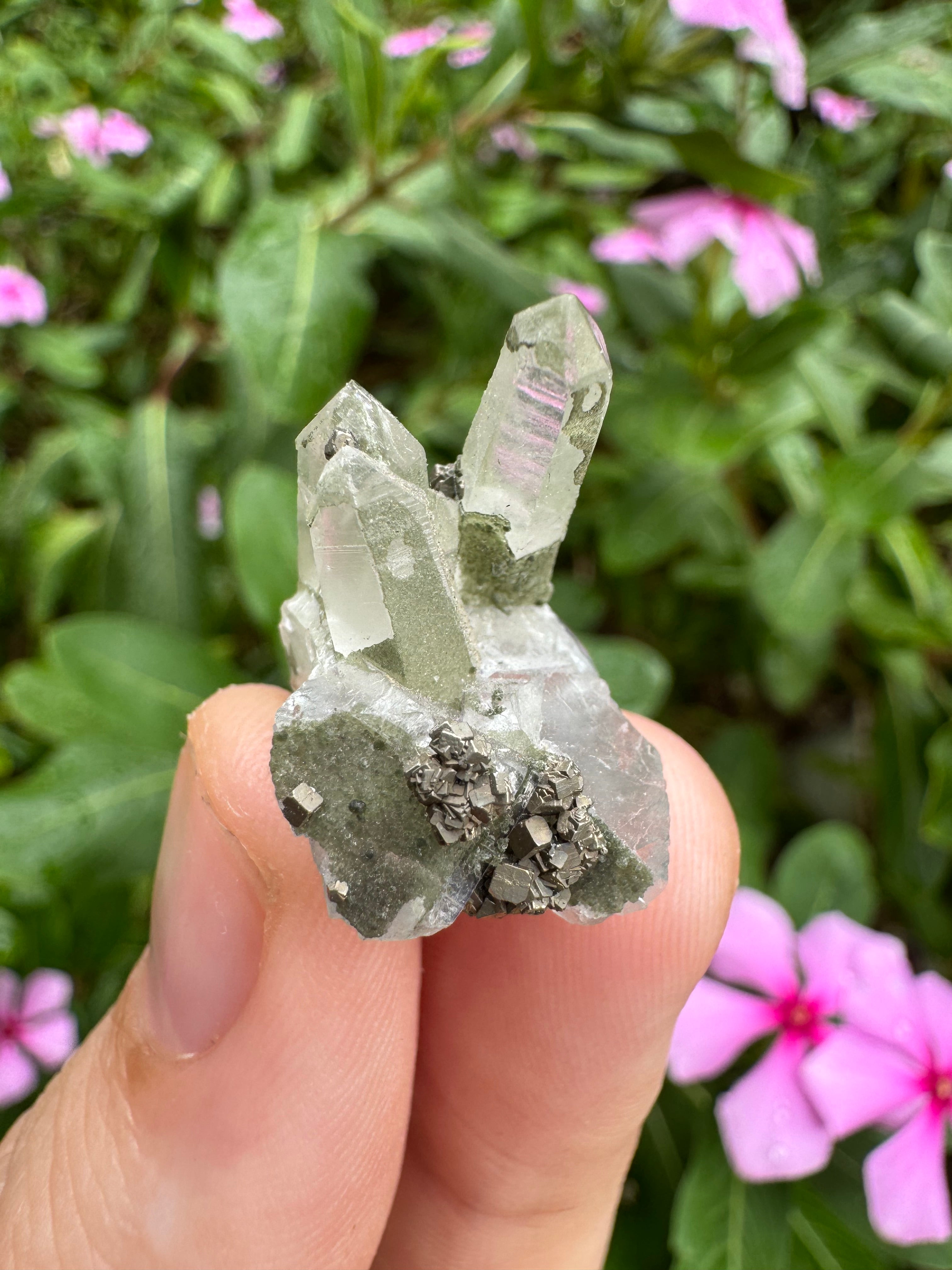Pyrite on Fluorite Cluster - High Quality