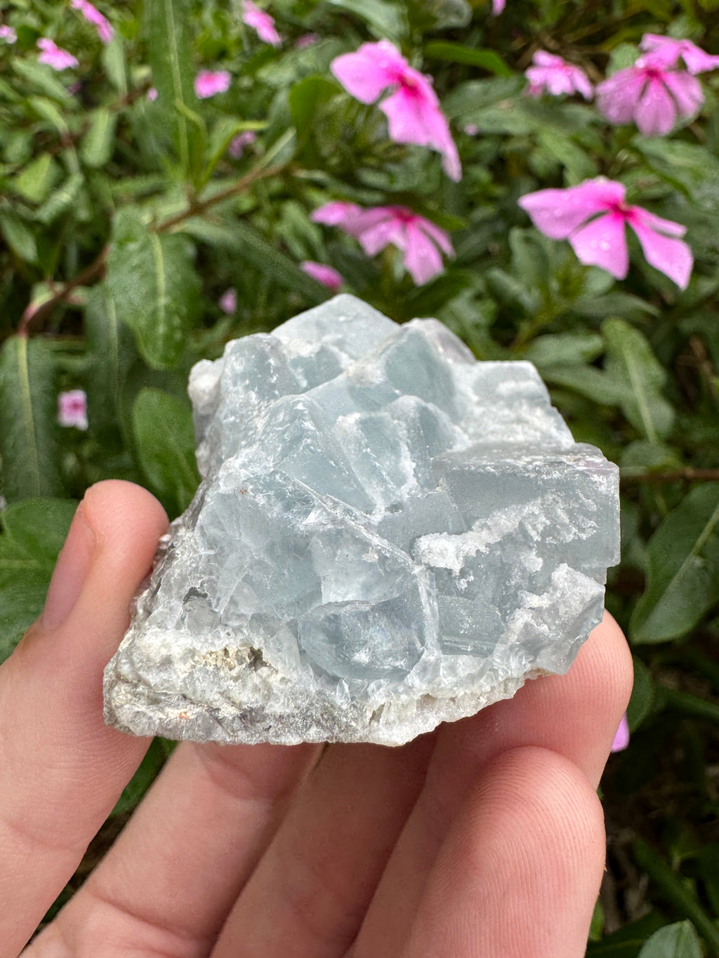 Blue Cubic Fluorite Cluster