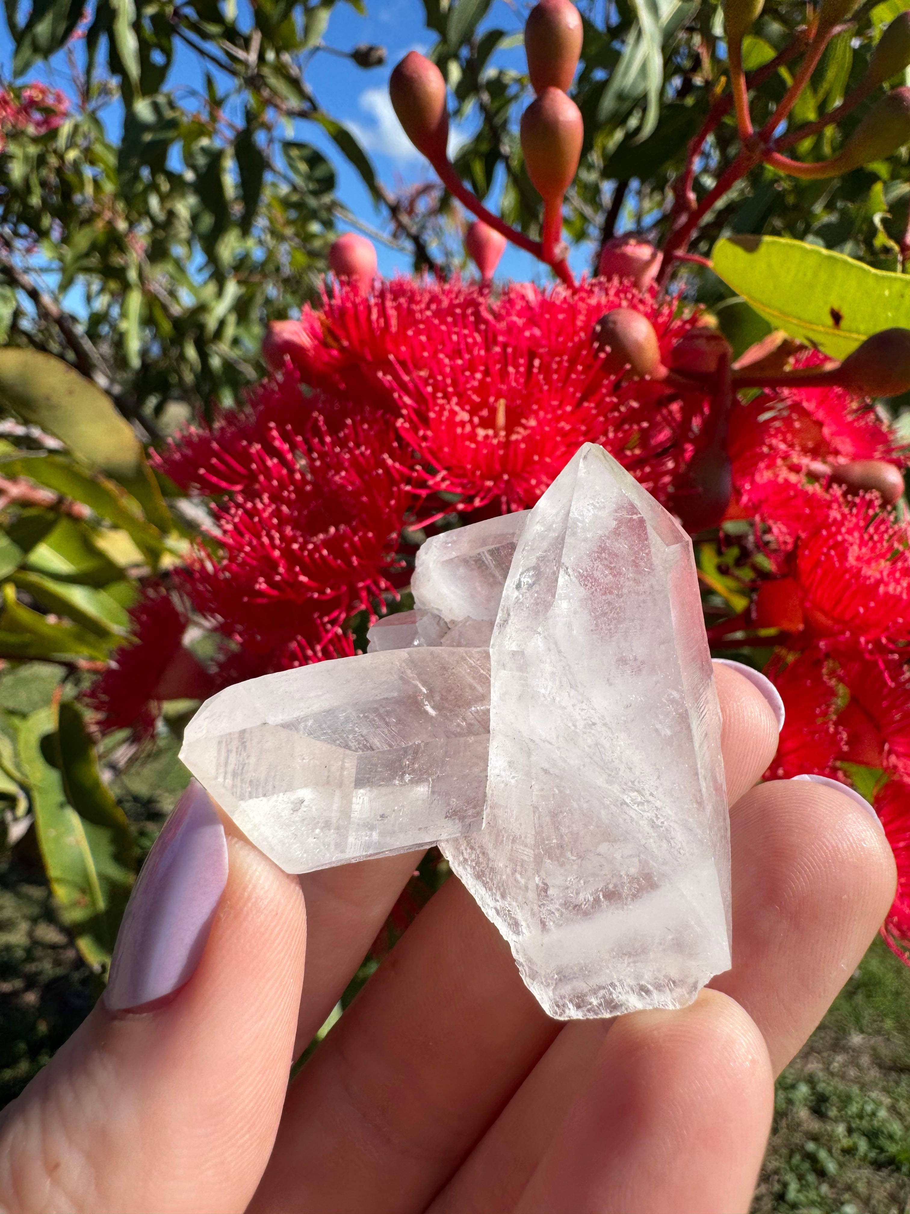 Himalayan Quartz Cluster