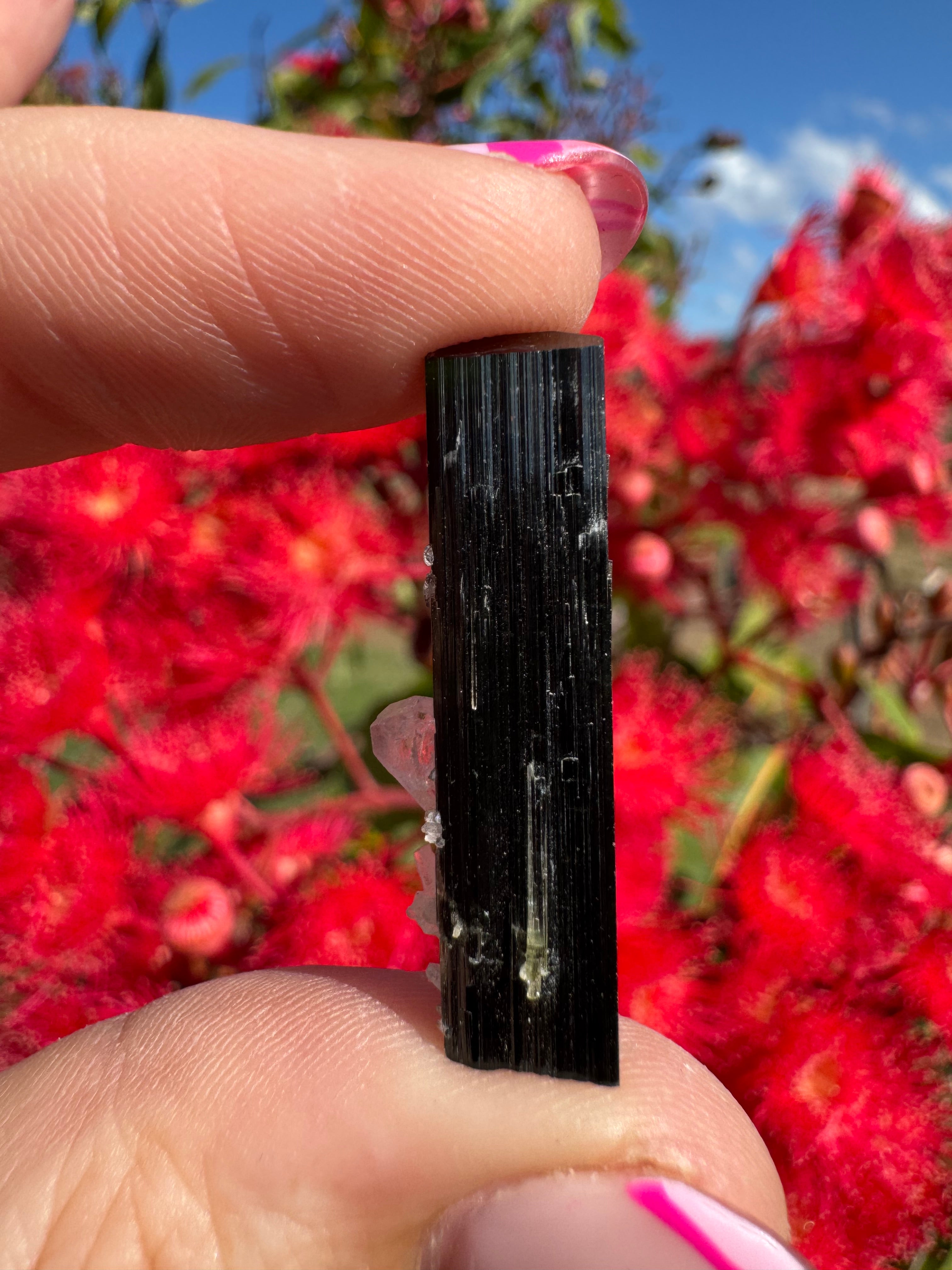 Green Tourmaline and Quartz Specimen - Stak Nala