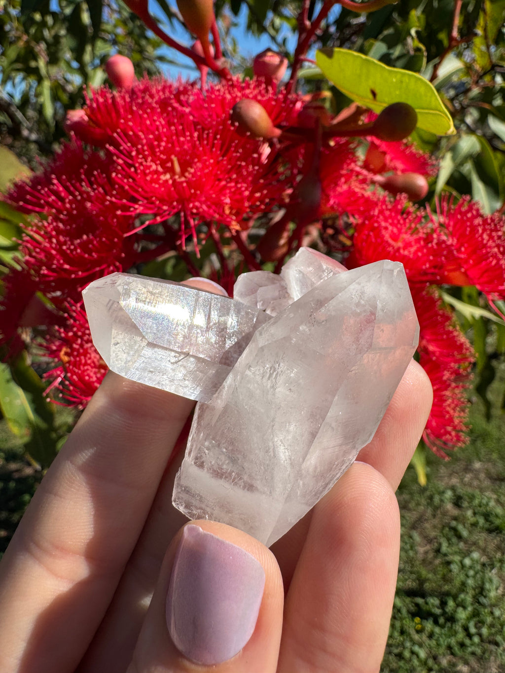 Himalayan Quartz Cluster