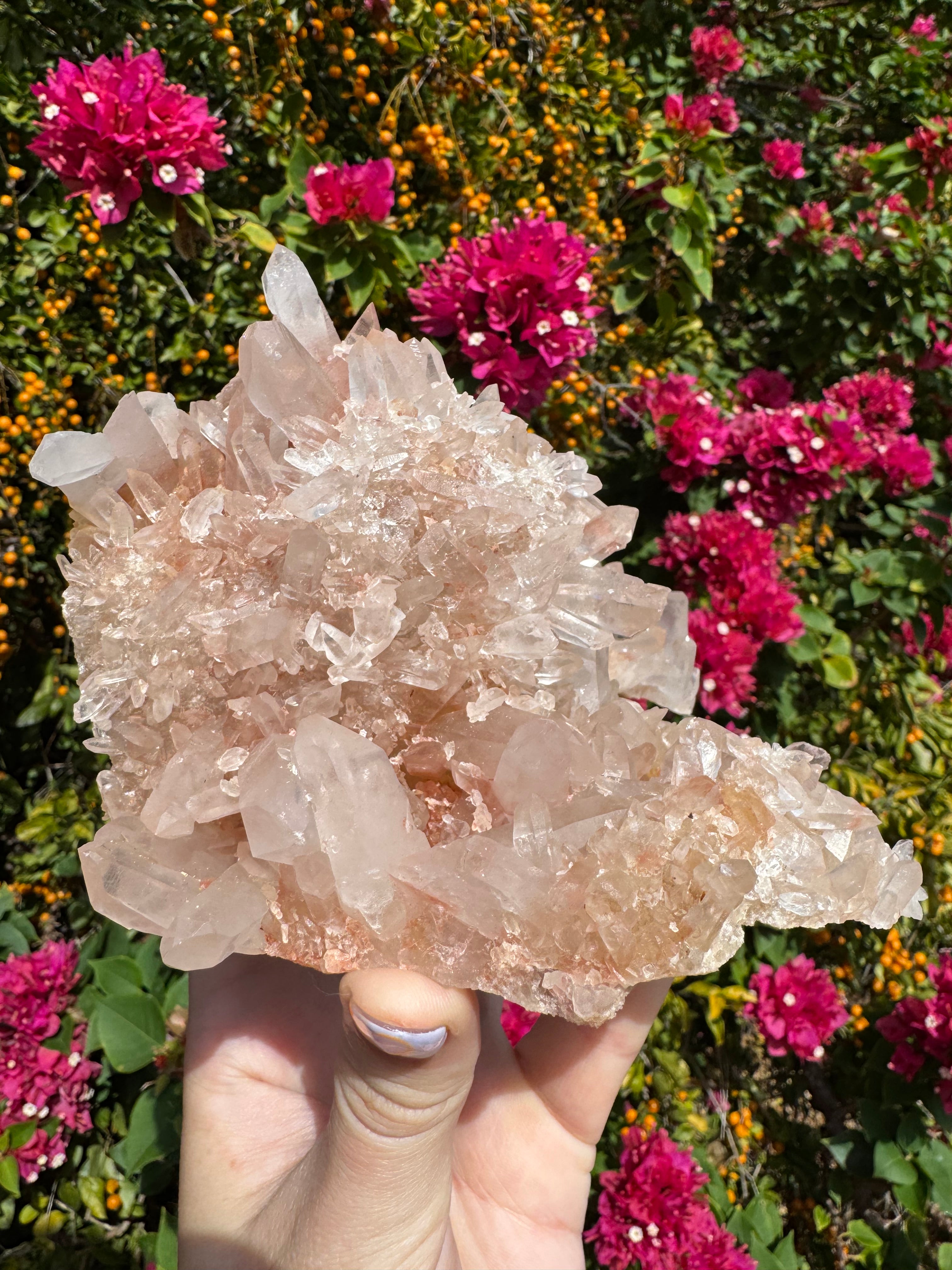 Pink Himalayan Samadhi Quartz Cluster