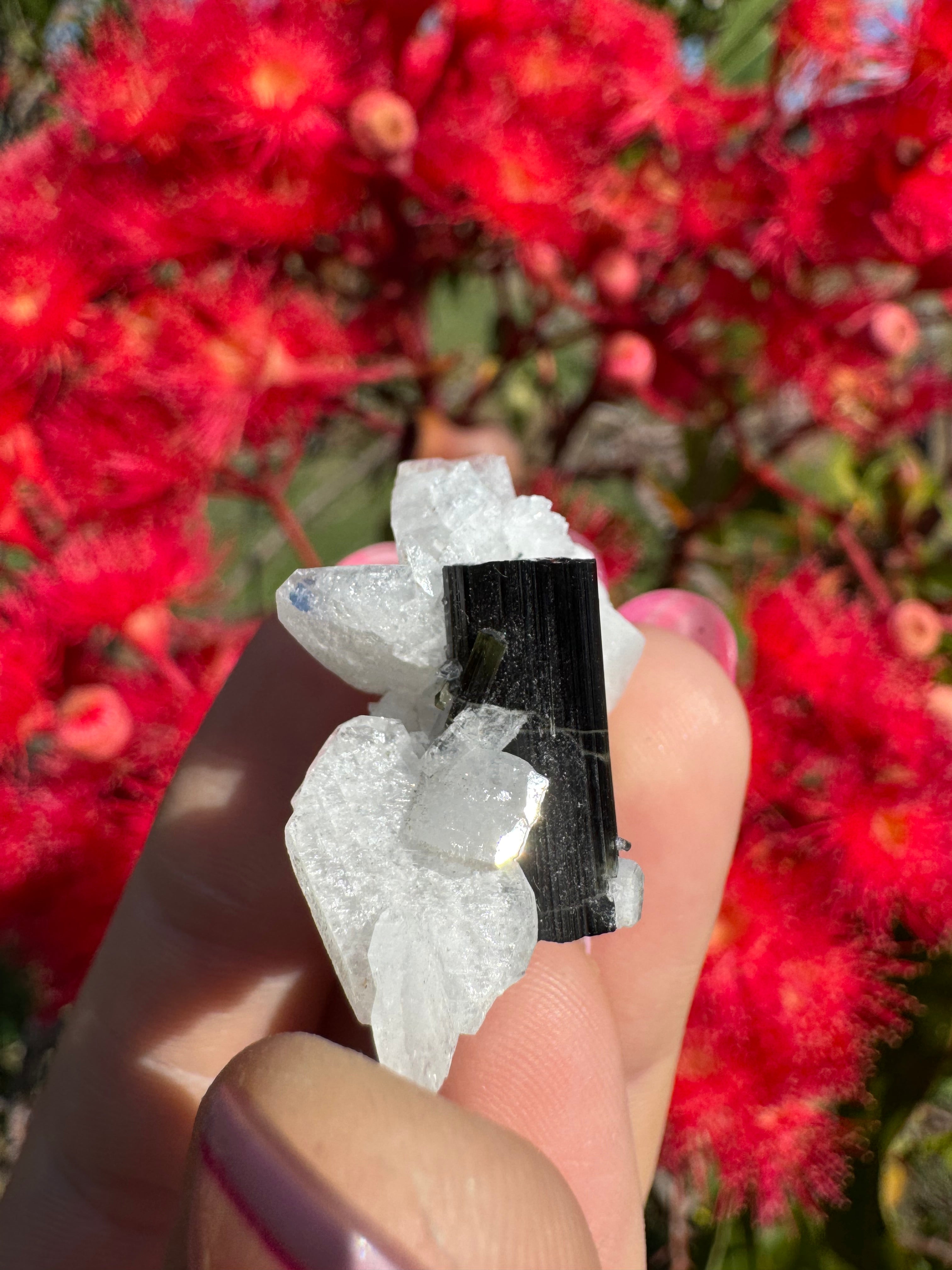 Green Tourmaline and Quartz Specimen - Stak Nala