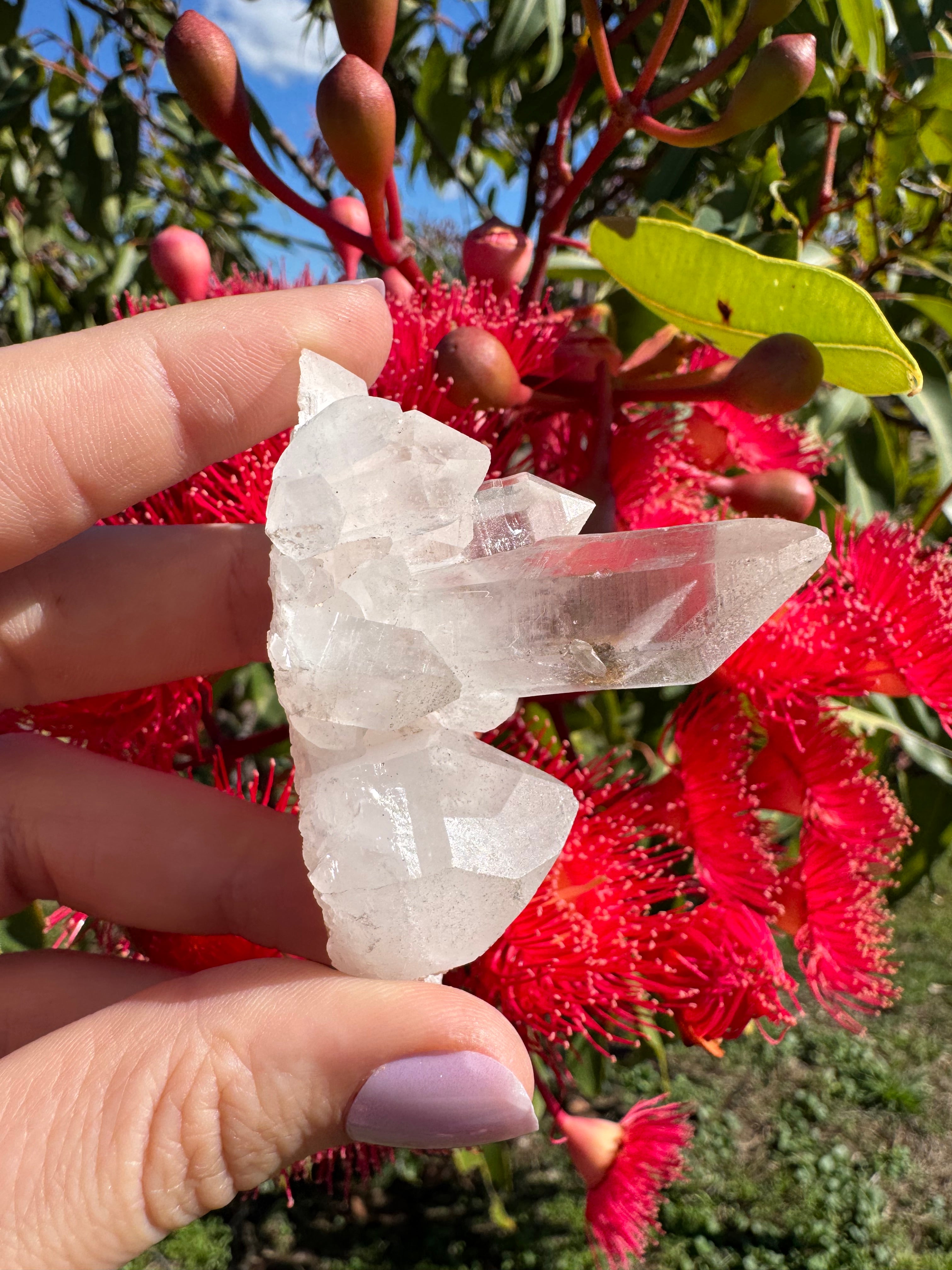 Himalayan Quartz Cluster