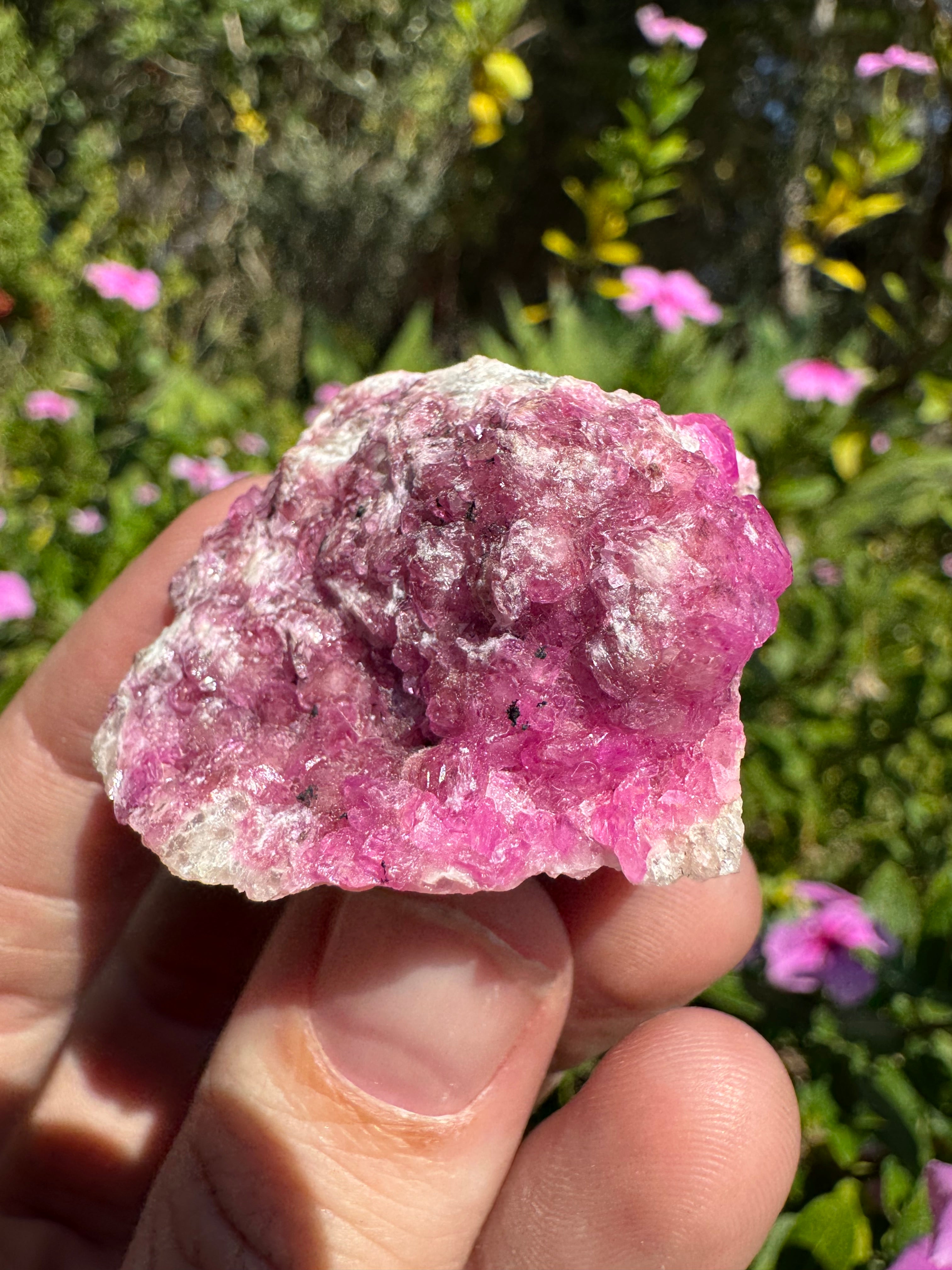Cobalt Calcite Specimen - AAA Grade
