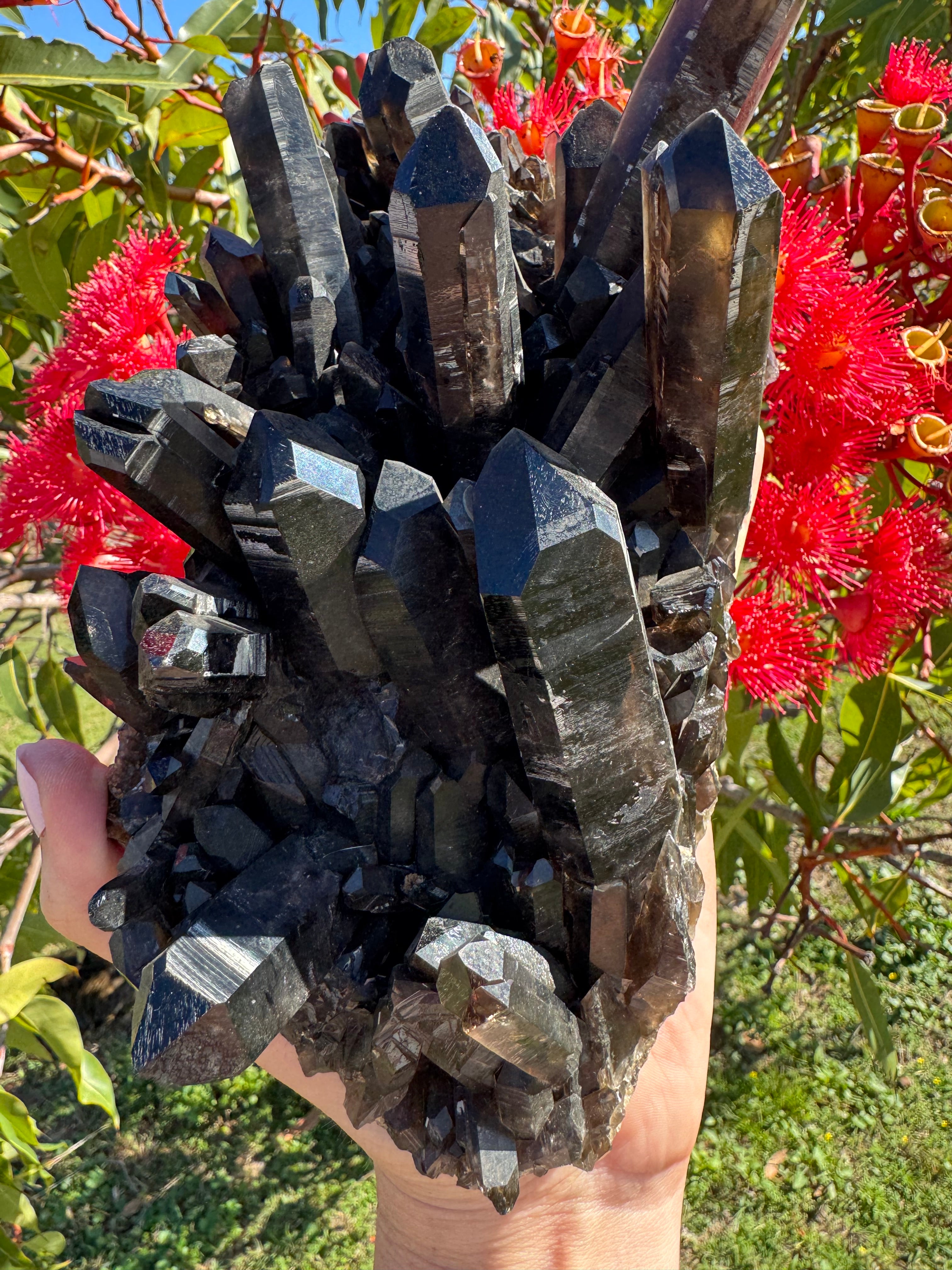 Deep Black Smoky Quartz Cluster - 2.049kg