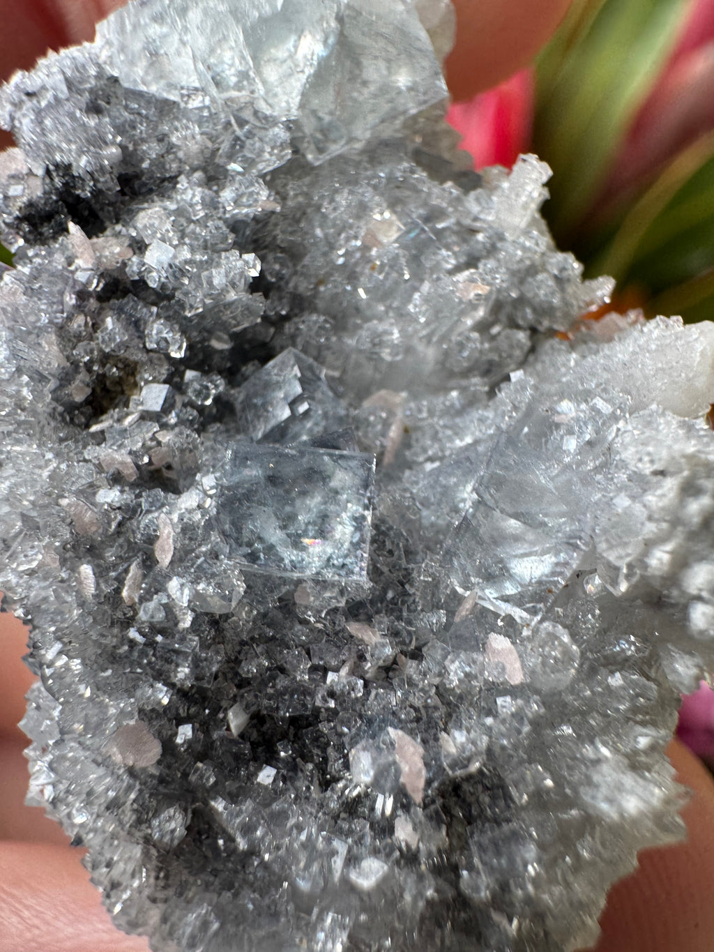 Rhodochrosite + Quartz + Fluorite Specimen