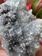 Rhodochrosite + Quartz + Fluorite Specimen