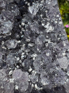 Madagascan Amethyst Cluster with Cristobalite Inclusions