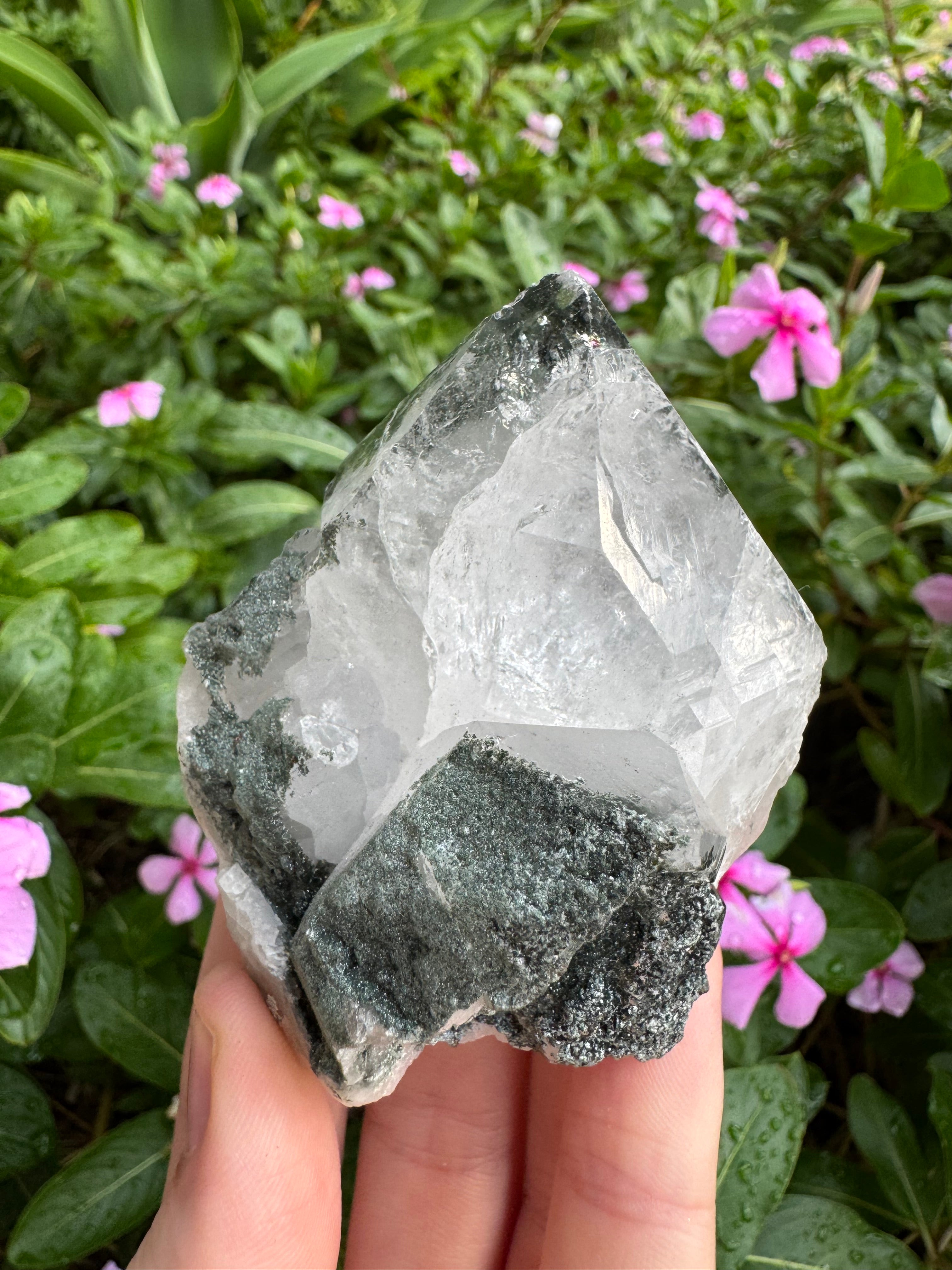Silver Garden Quartz with Actinolite Inclusions Point