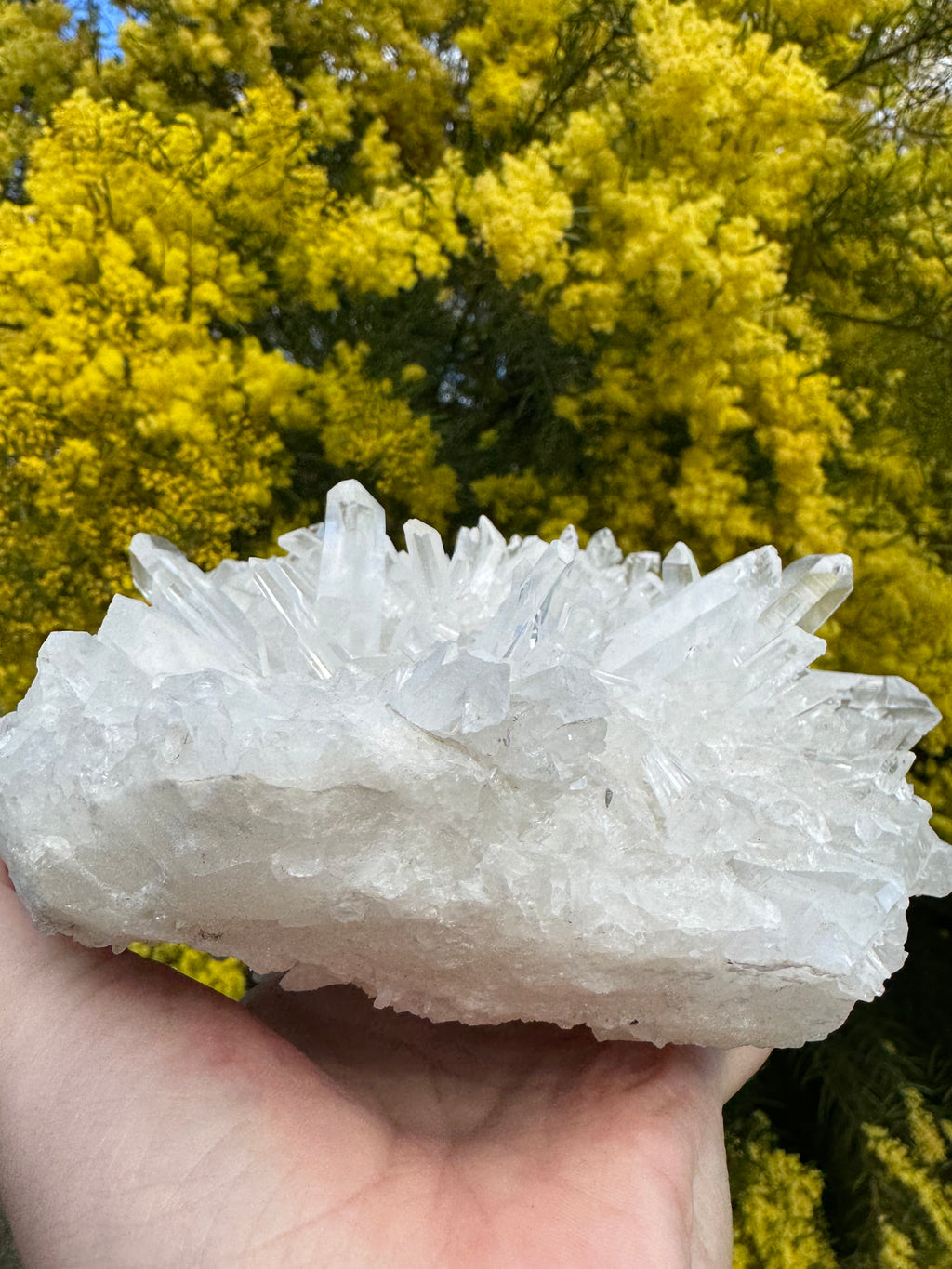 Clear Quartz Cluster
