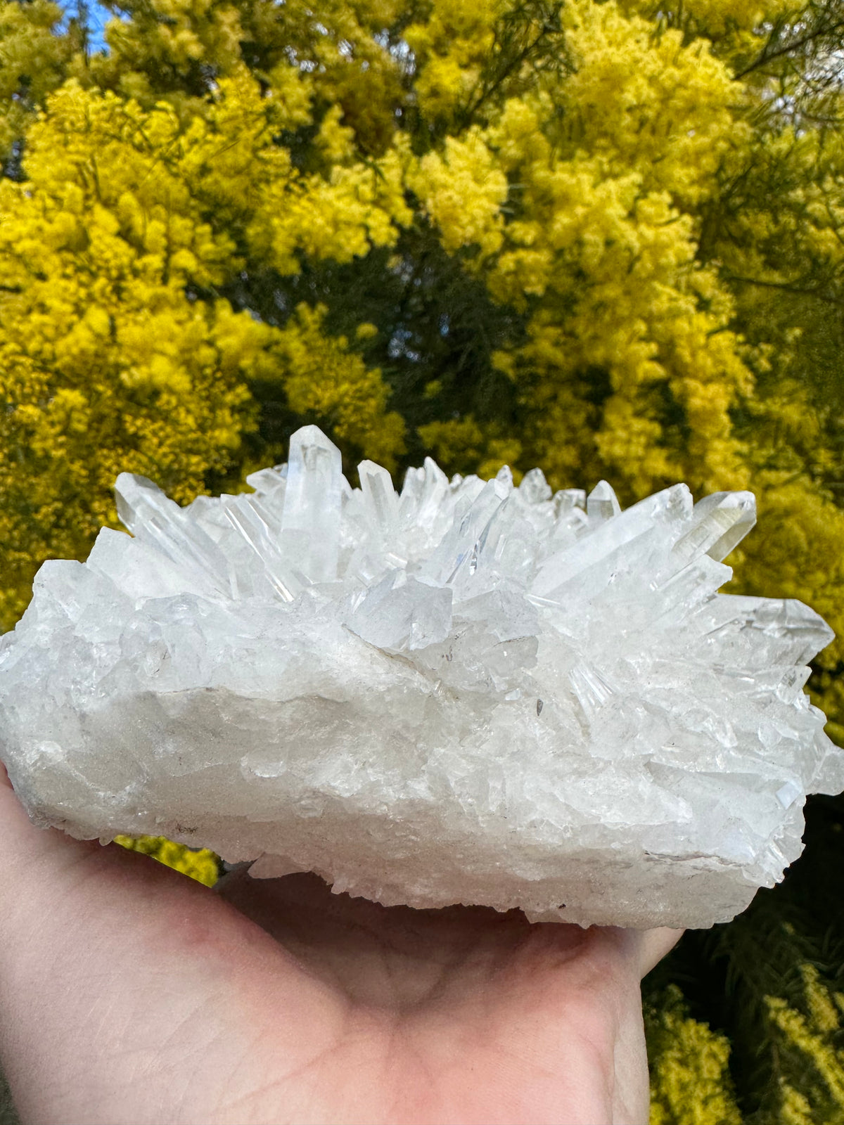 Clear Quartz Cluster