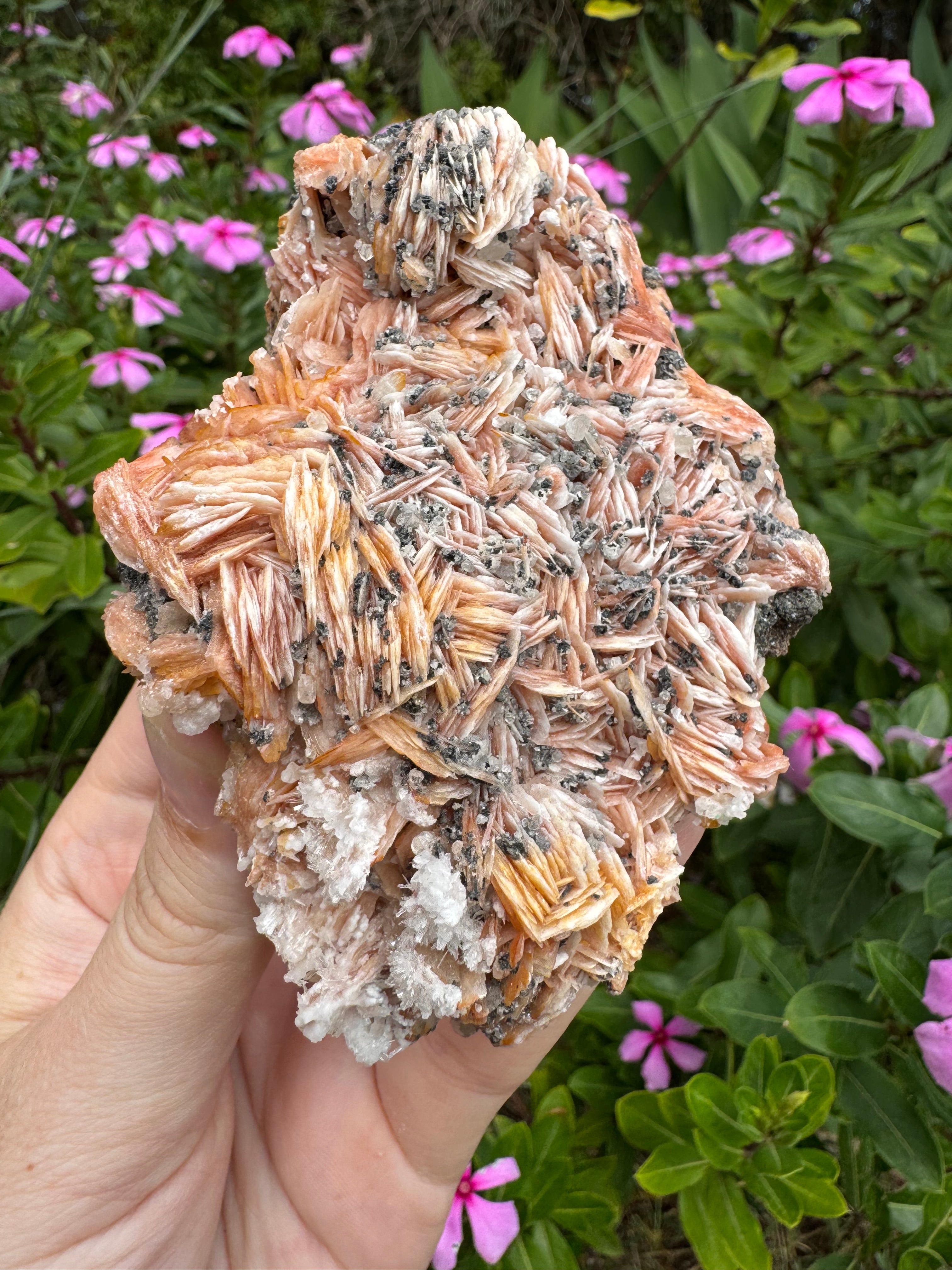 Cerussite on Barite Cluster Specimen