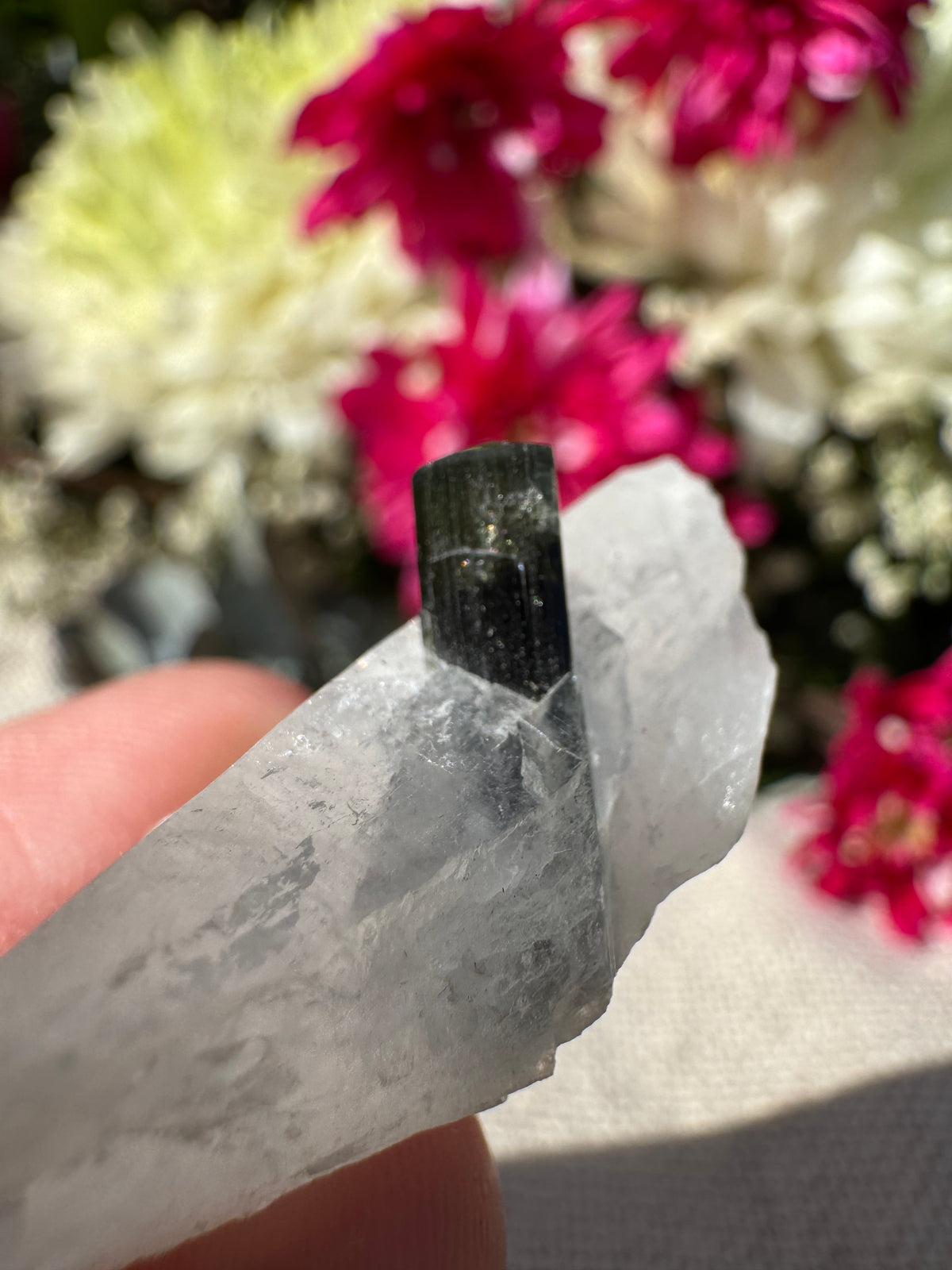 Green Capped Tourmaline in Quartz Specimen