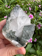 Silver Garden Quartz with Actinolite Inclusions Point