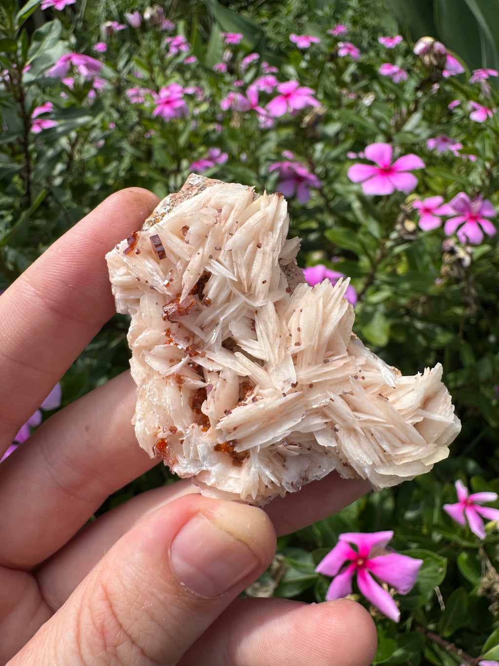 Vanadinite on Barite Specimen