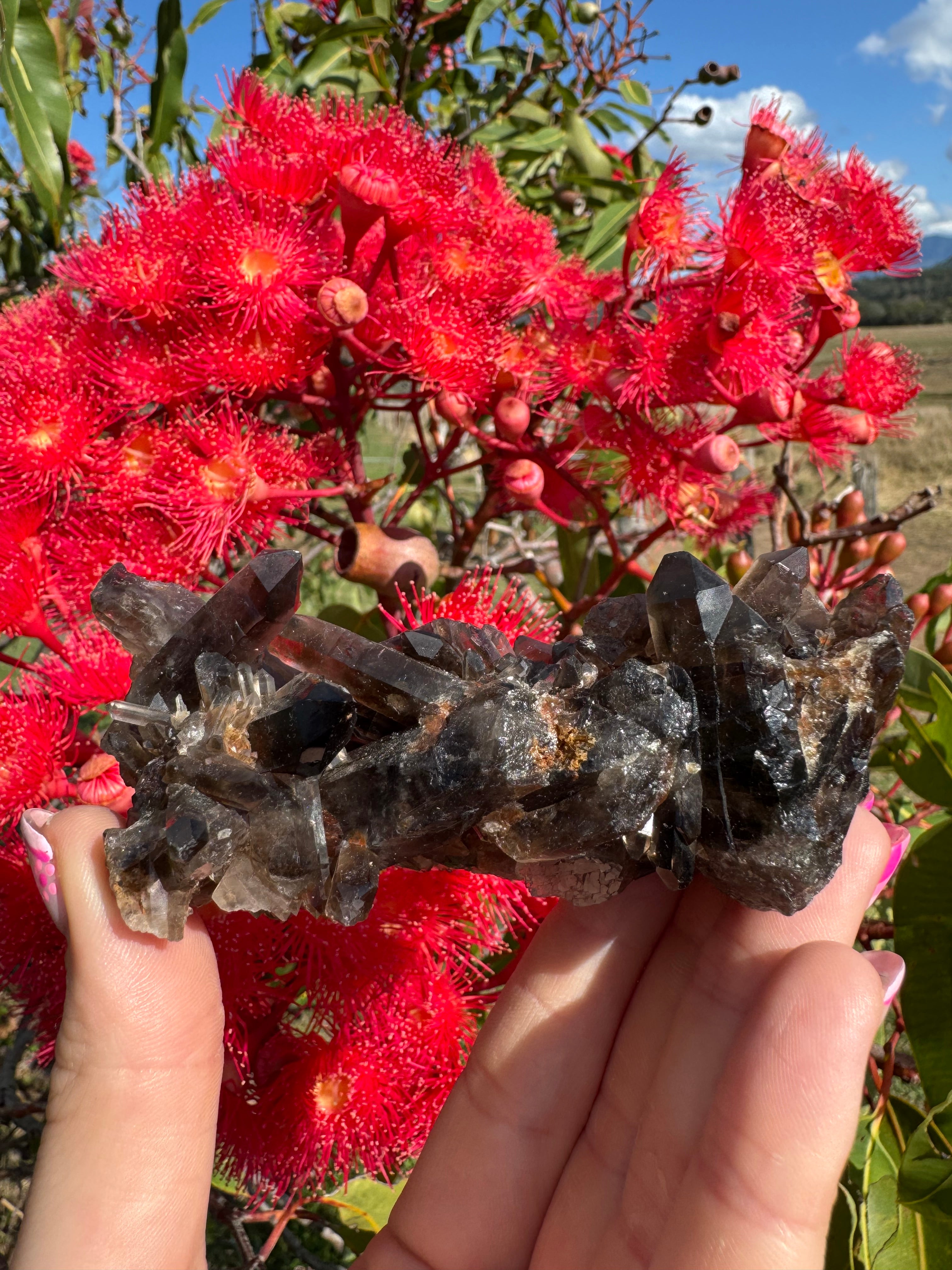 Deep Black Smoky Quartz with Hematite Cluster