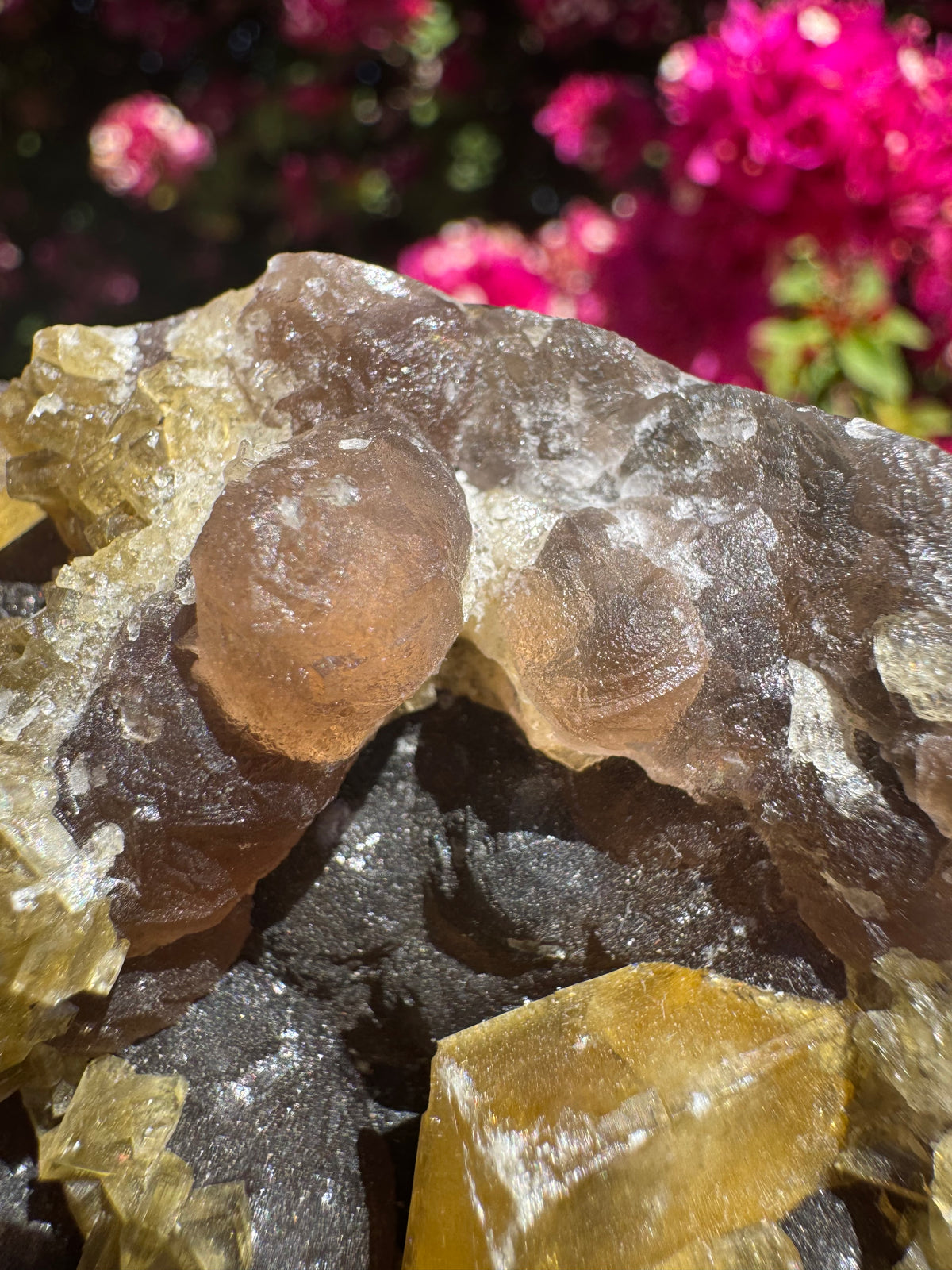 Golden Barite With Botryoidal Chocolate Calcite Specimen | 1.6kg