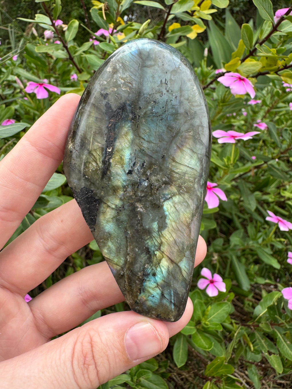 Labradorite Standing Freeform