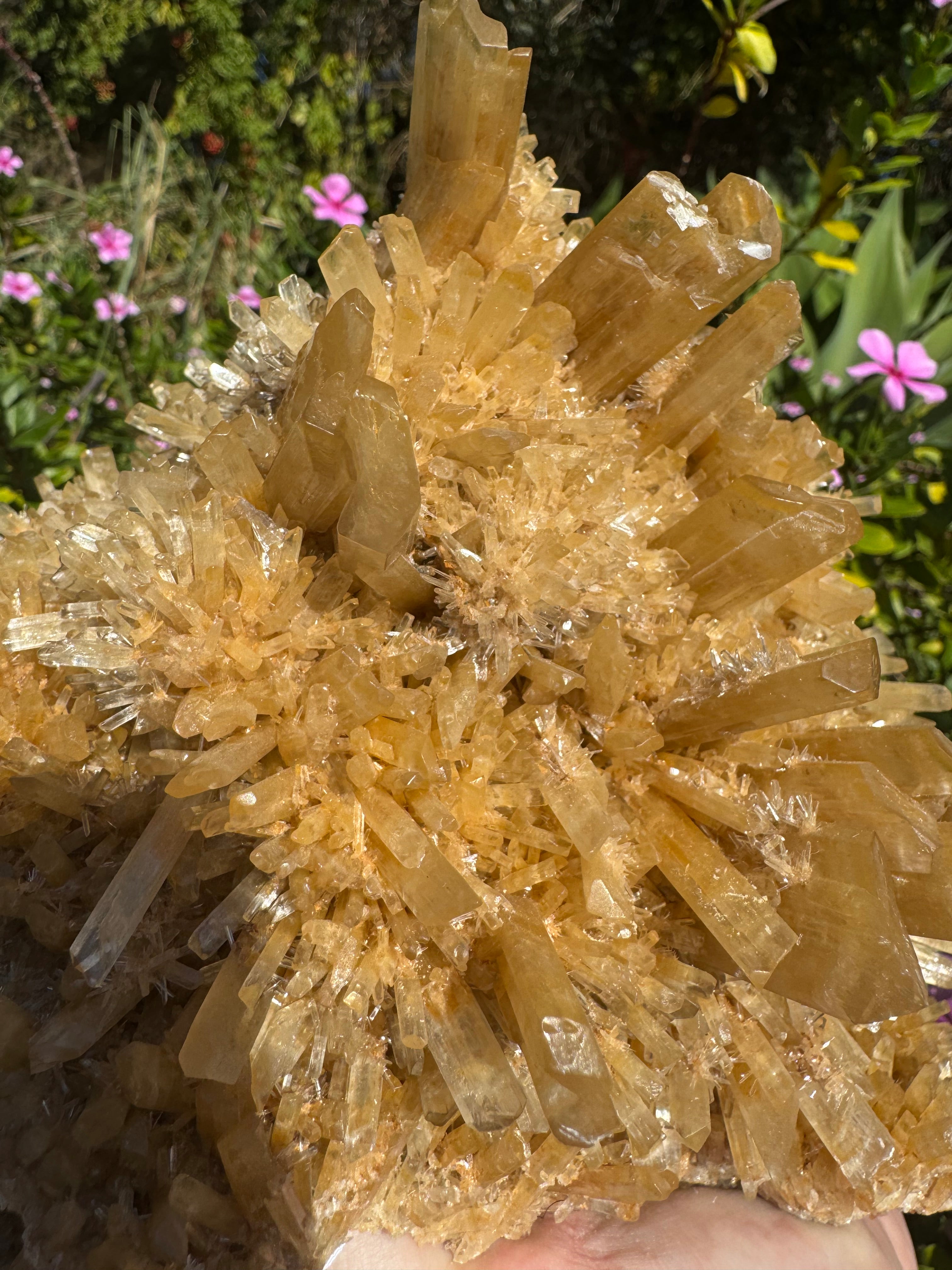 Selenite ‘Gypsum’ Natural Specimen