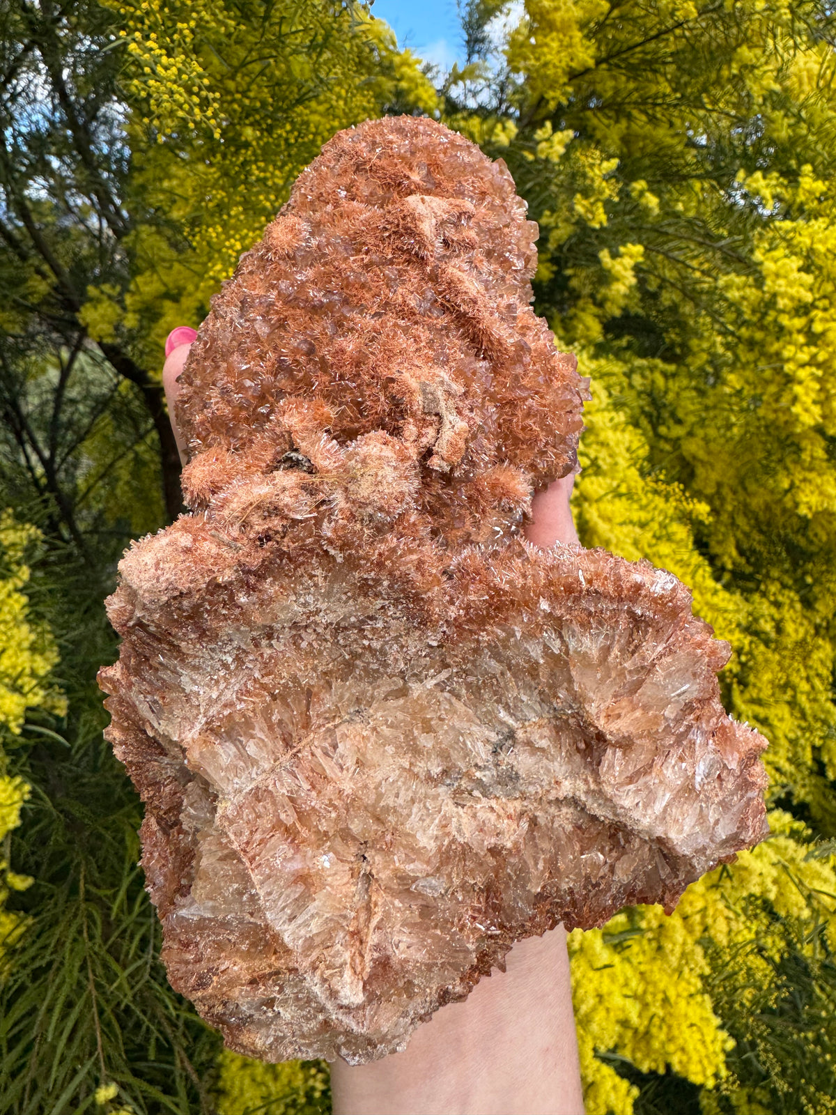 Red Selenite ‘Gypsum’ Specimen - Port Hedland