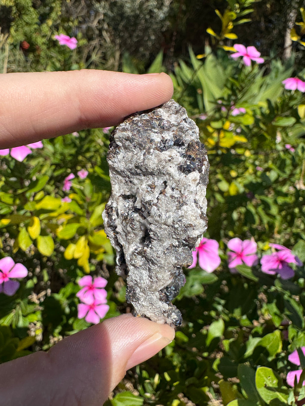 Galena On Quartz Specimen