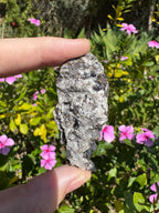 Galena On Quartz Specimen
