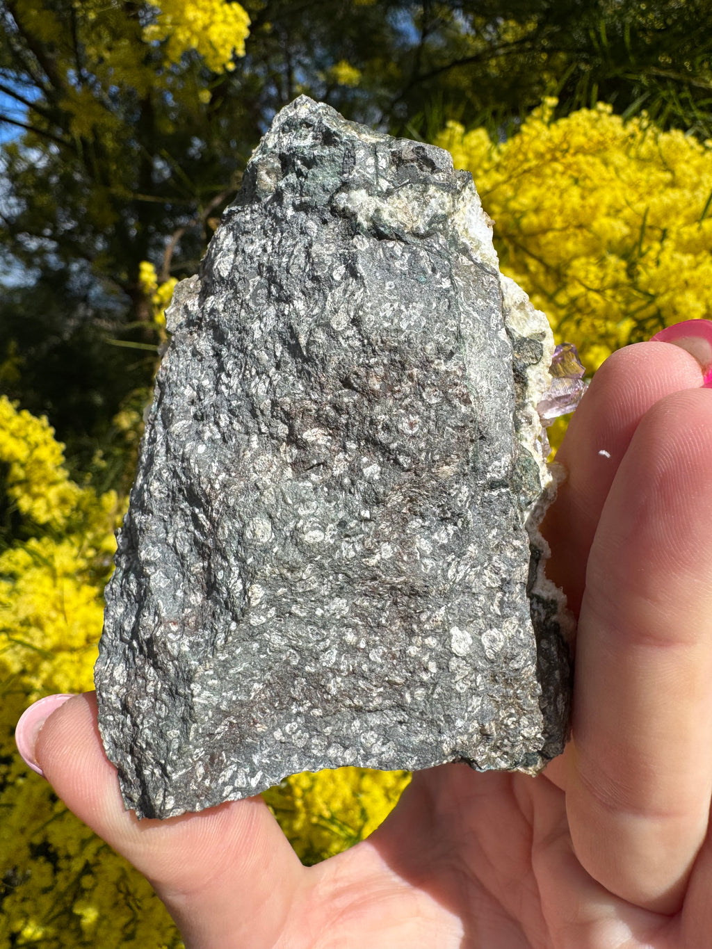 Vera Cruz Amethyst ‘Flower’ Specimen