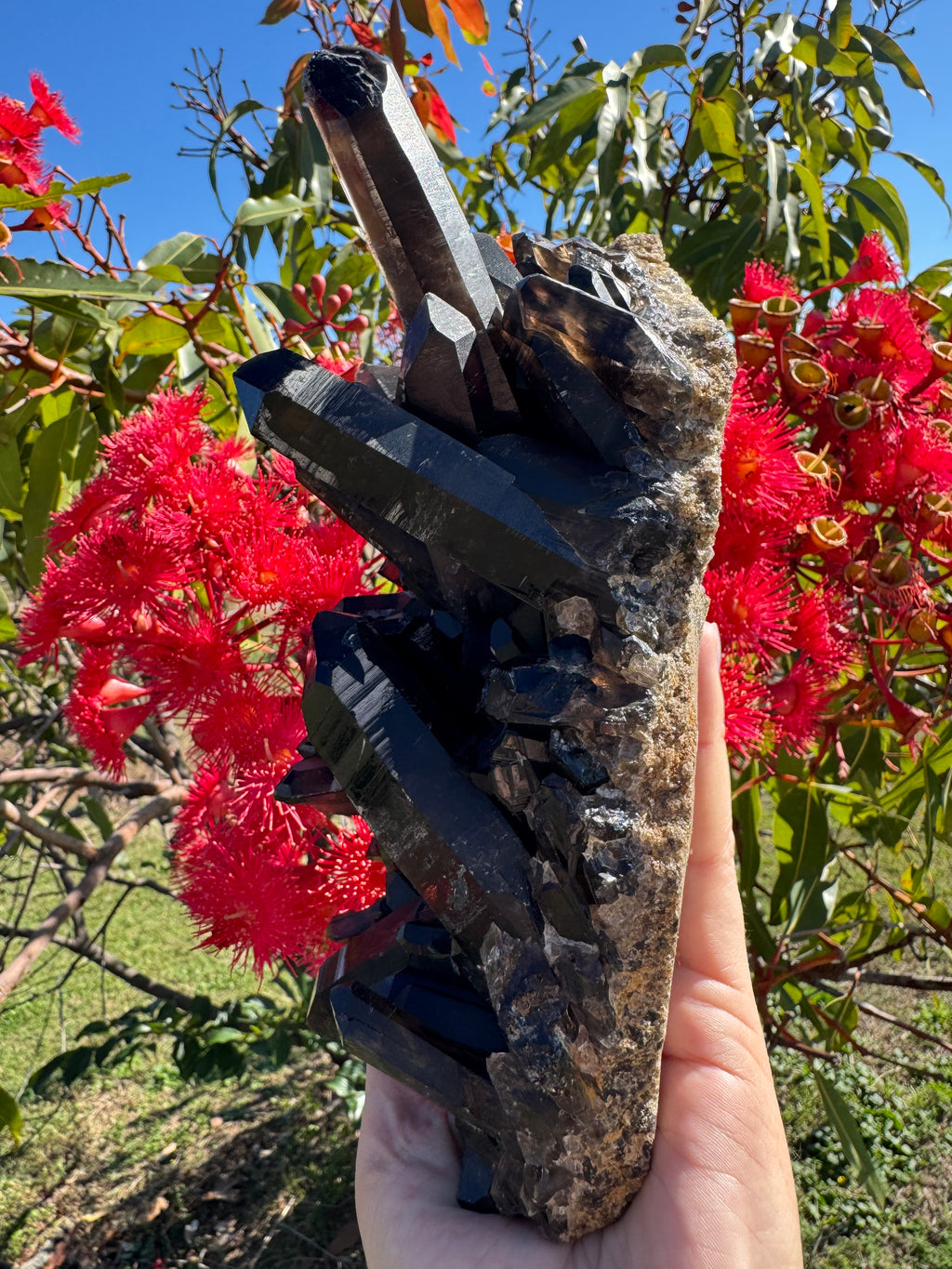 Deep Black Smoky Quartz Cluster - 2.049kg