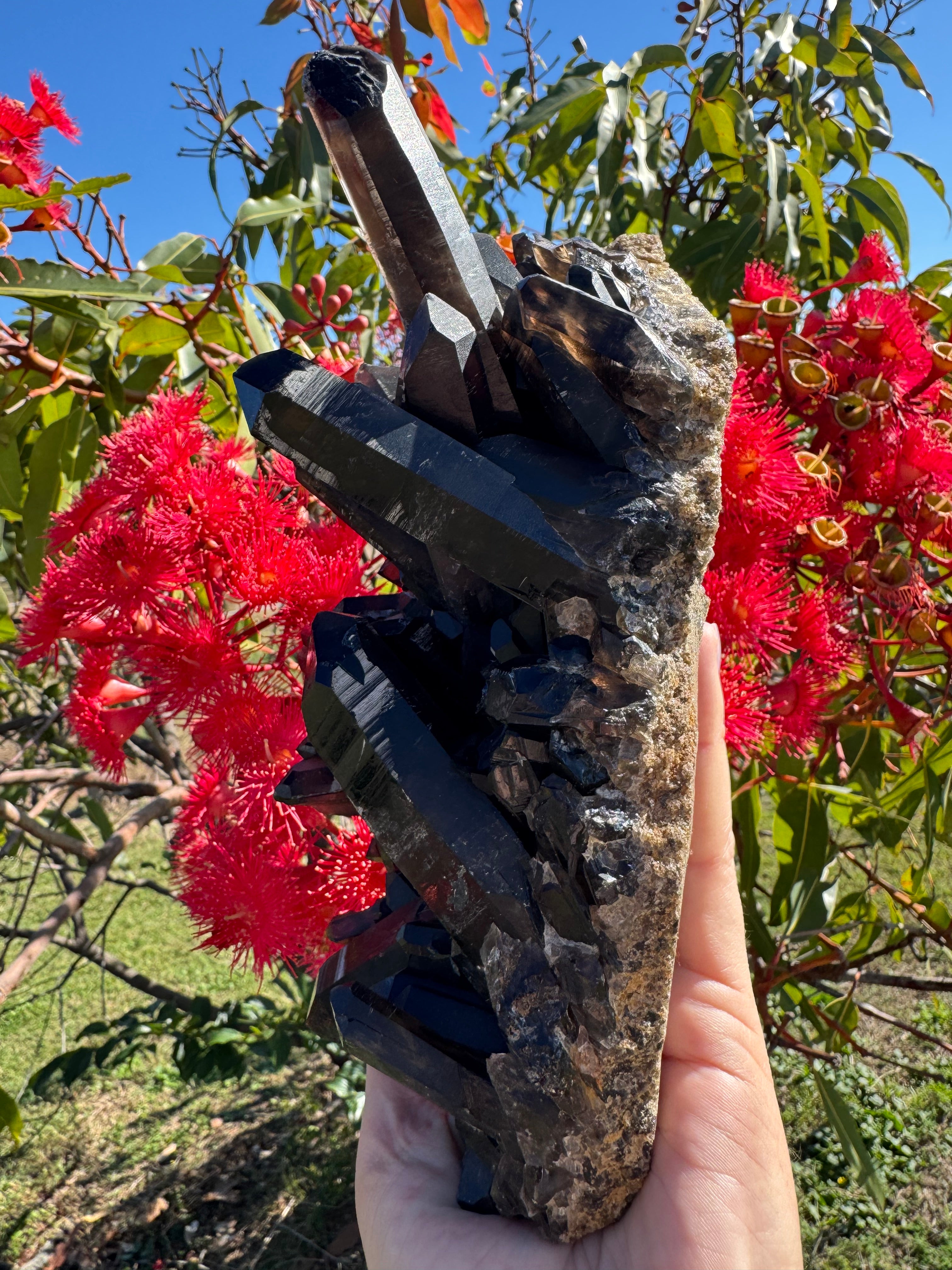 Deep Black Smoky Quartz Cluster - 2.049kg