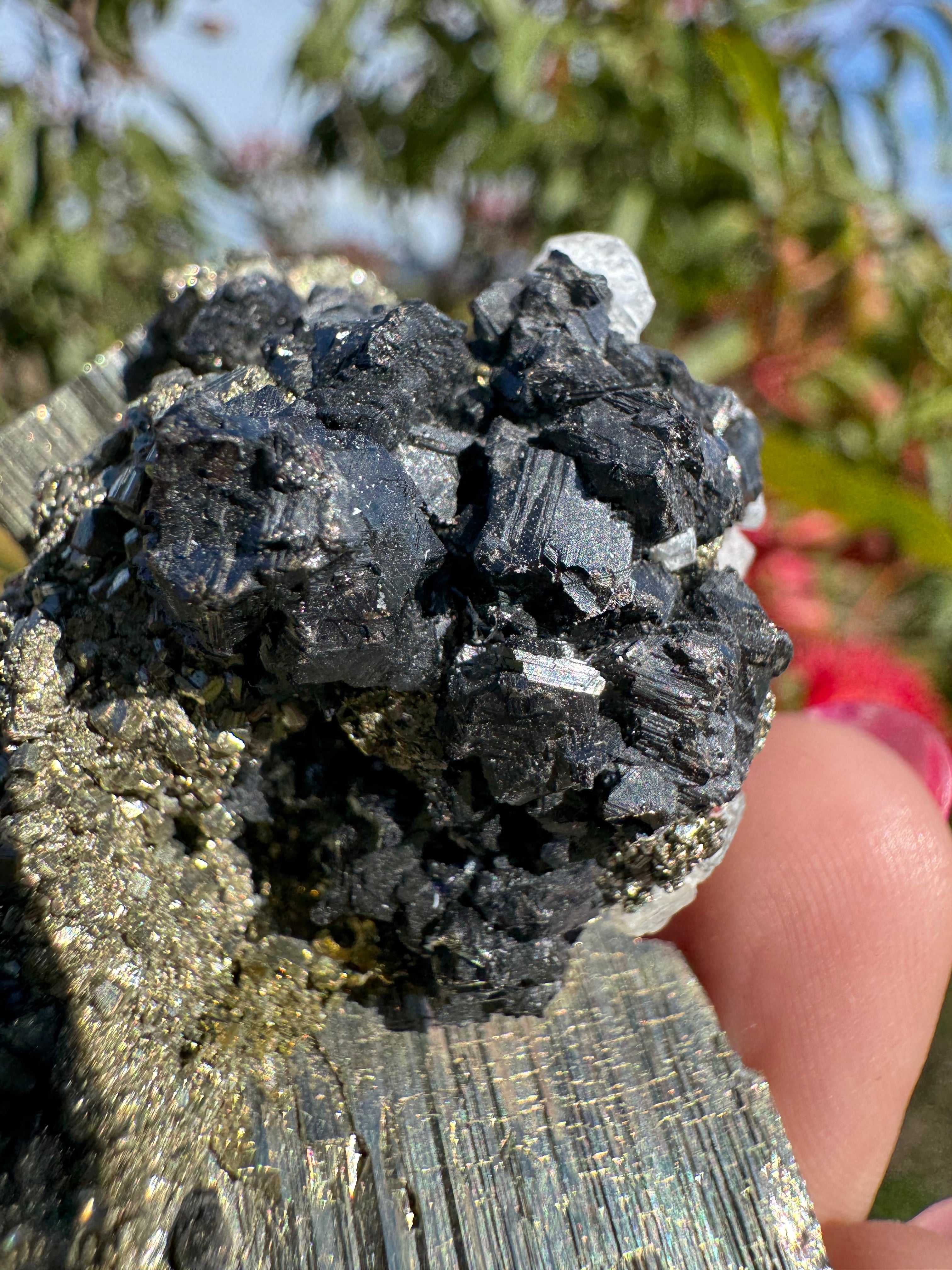 Pyrite And Galena On Quartz Specimen