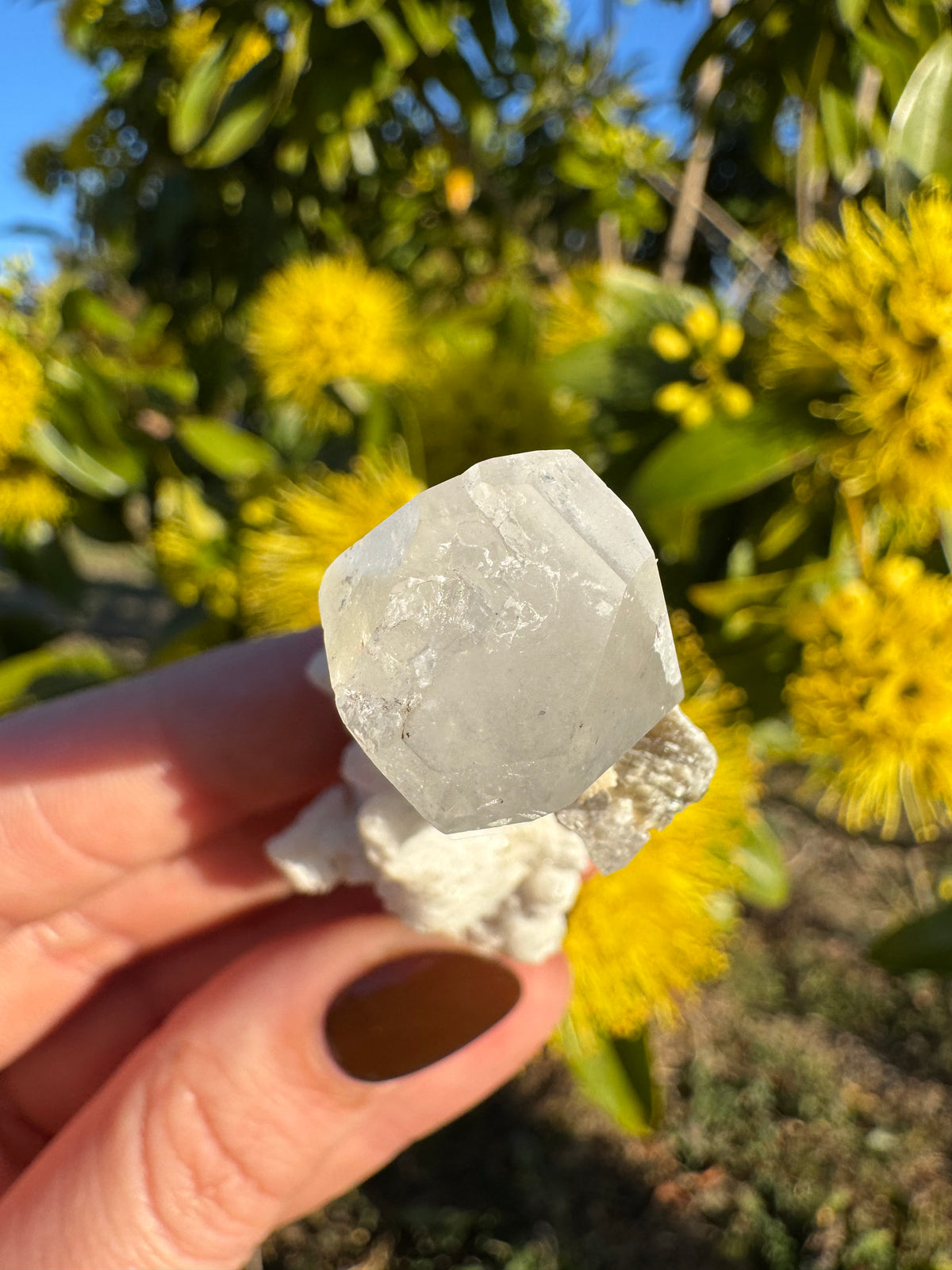 Imperial Topaz Natural Specimen - Katlang