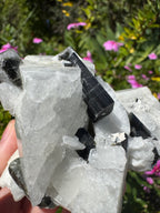 Black Tourmaline in Quartz Specimen